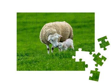puzzleYOU Puzzle Ein Schaf mit seinem neugeborenen Lamm, 48 Puzzleteile, puzzleYOU-Kollektionen Schafe & Lämmer