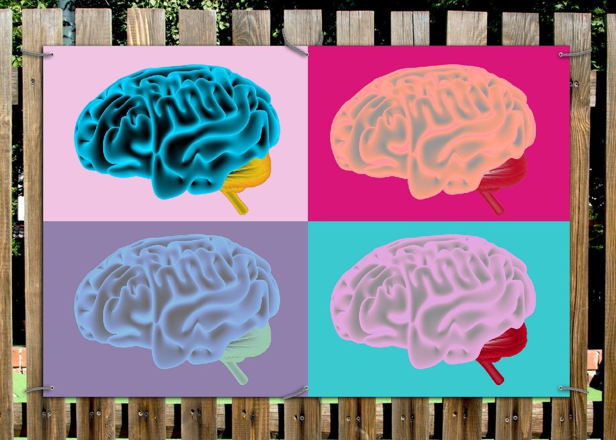 Thumbnail - Wallario Sichtschutzzaunmatten Menschliches Gehirn im Pop Art Stil