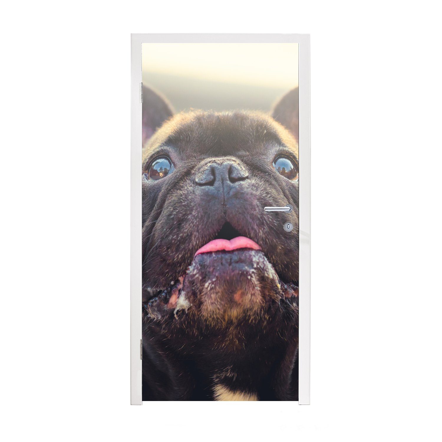MuchoWow Türtapete Französische Bulldogge - Schwarz - Sonne, Matt, bedruckt, (1 St), Fototapete für Tür, Türaufkleber, 75x205 cm