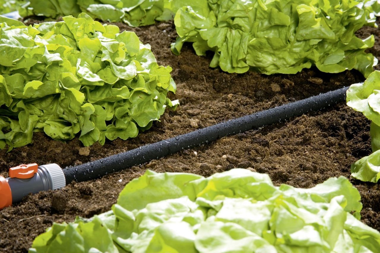 Thumbnail - GARDENA Regner Gardena Perl-Regner 15 m