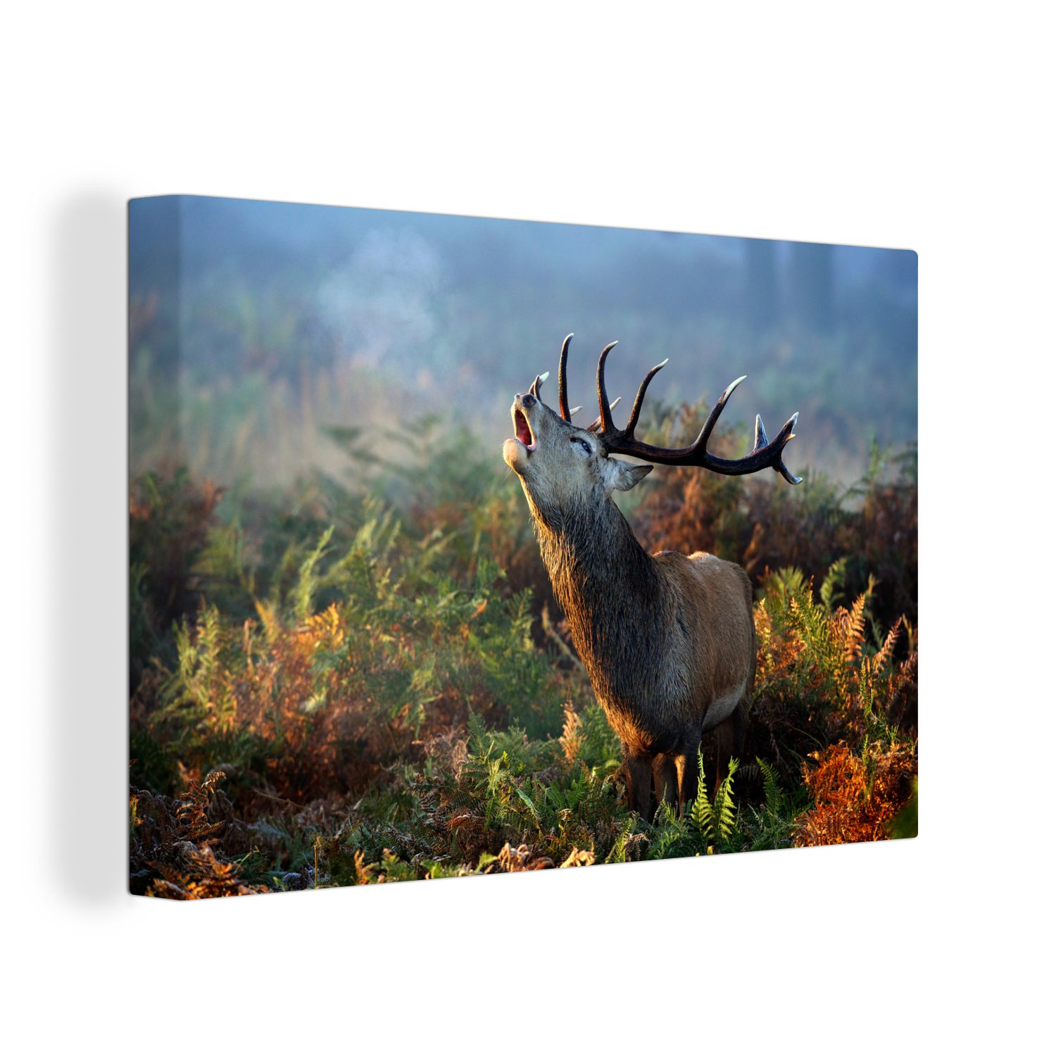 OneMillionCanvasses® Leinwandbild Rehe Aufhängefertig, Nebel, St), Pflanzen - Leinwandbilder, 30x20 - Wandbild cm (1 Wanddeko