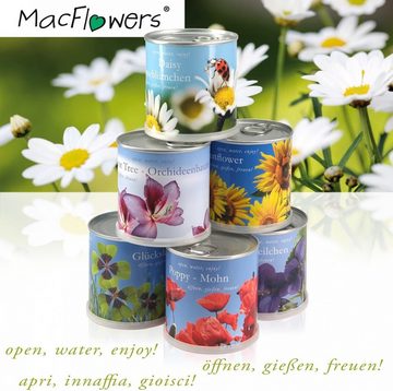 MacFlowers® Anzuchttopf Blumengrüße - Schmuckkörbchen - Cosmea bipinnatus Mix in der Dose