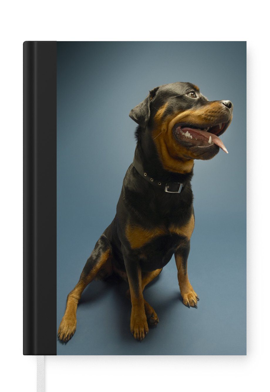 MuchoWow Notizbuch Studiofoto eines Rottweilers auf blauem Hintergrund, Journal, Merkzettel, Tagebuch, Notizheft, A5, 98 Seiten, Haushaltsbuch