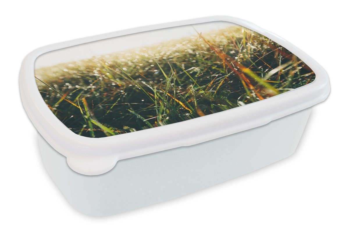MuchoWow Lunchbox Rasenfläche - Pampasgras, Kunststoff, (2-tlg), Brotbox für Kinder und Erwachsene, Brotdose, für Jungs und Mädchen weiß