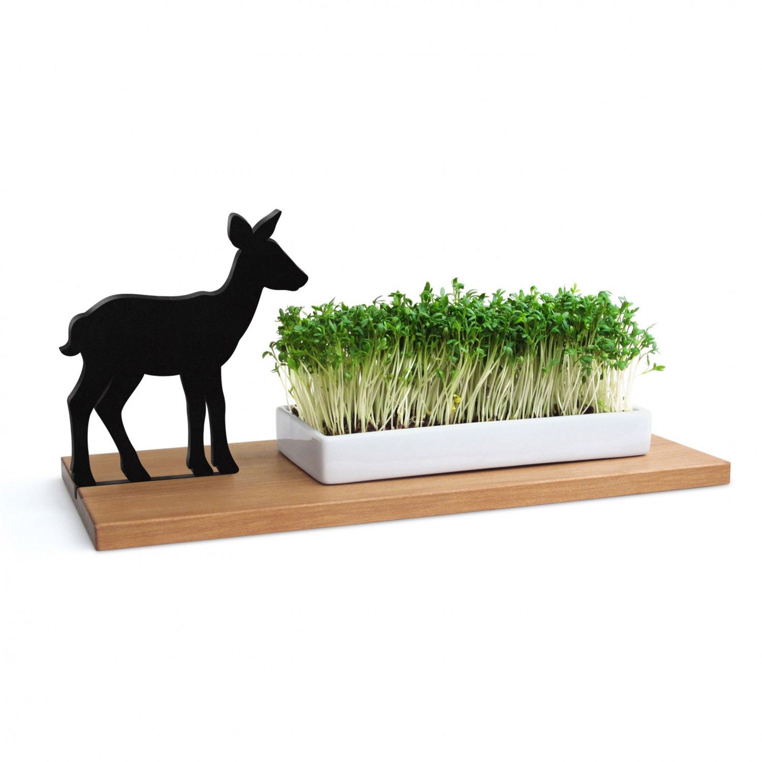 side by side Kräuterbeet Kresseschale smart n green Reh