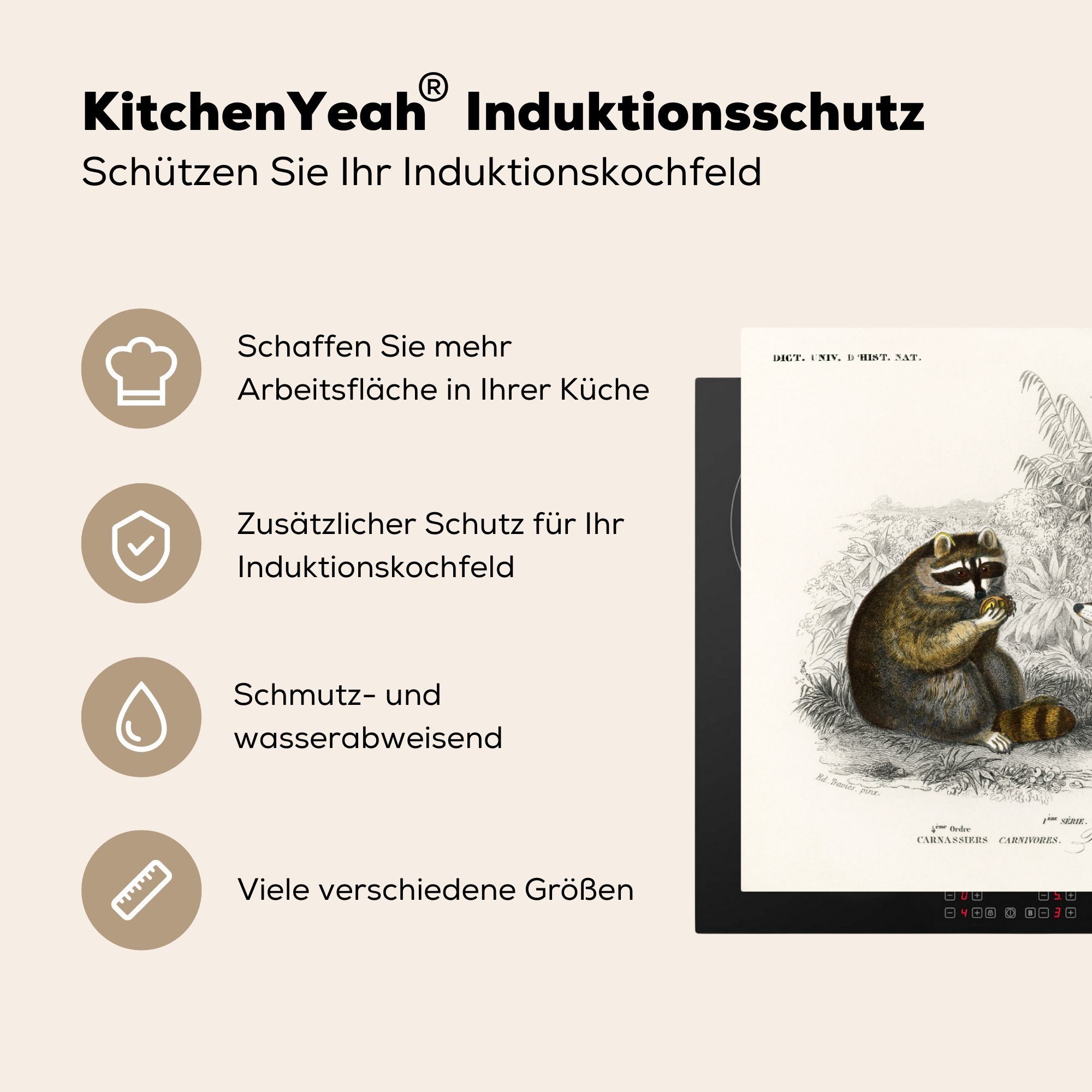 Induktionskochfeld Schutz - Herdblende-/Abdeckplatte Ceranfeldabdeckung Vinyl, 81x52 (1 die Waschbär tlg), für küche, Pflanzen, - cm, MuchoWow Vintage