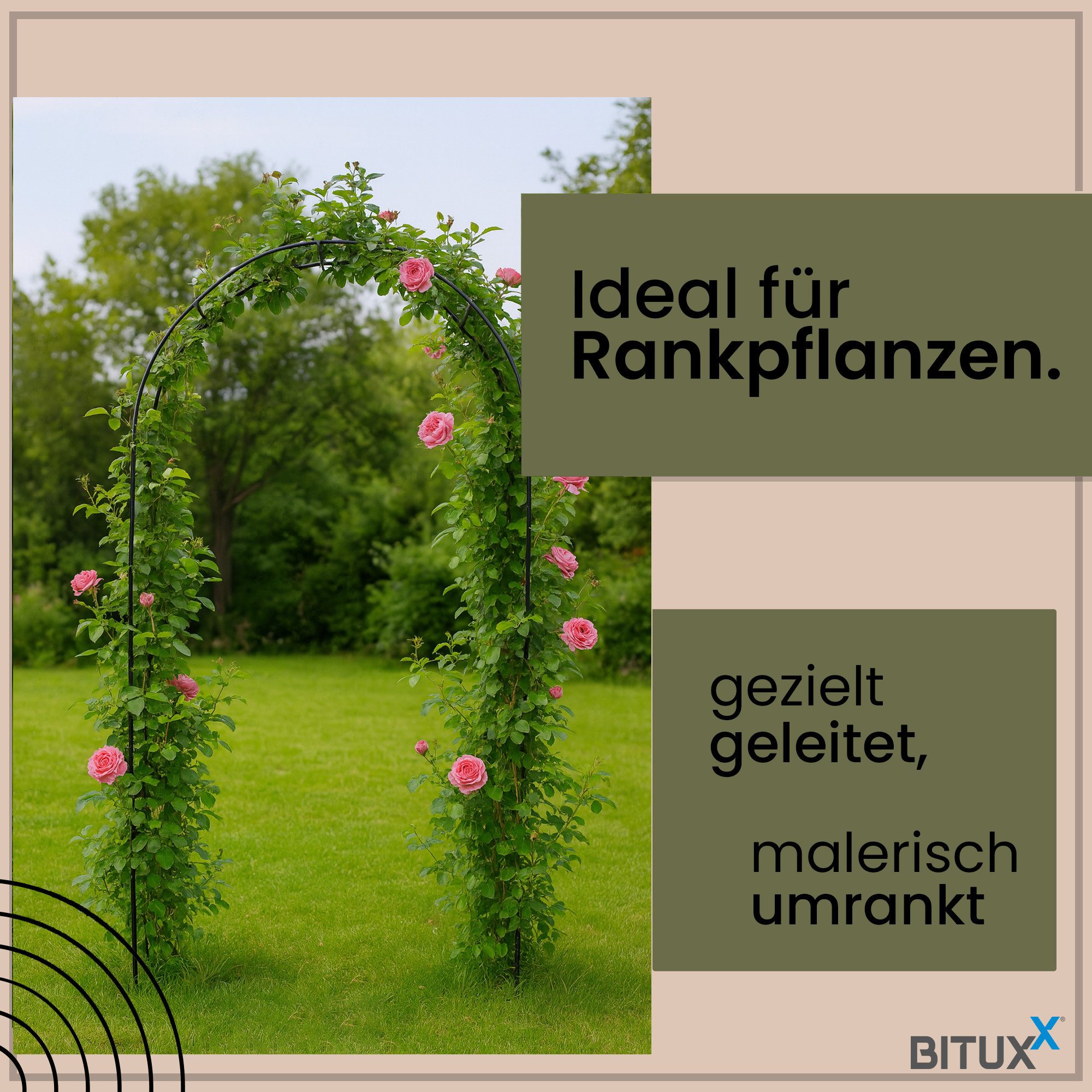 Bituxx Rosenbogen Bituxx Rosenbogen / Kletterhilfe 240 cm, MS-19556, Stabil, wetterfest und langlebig