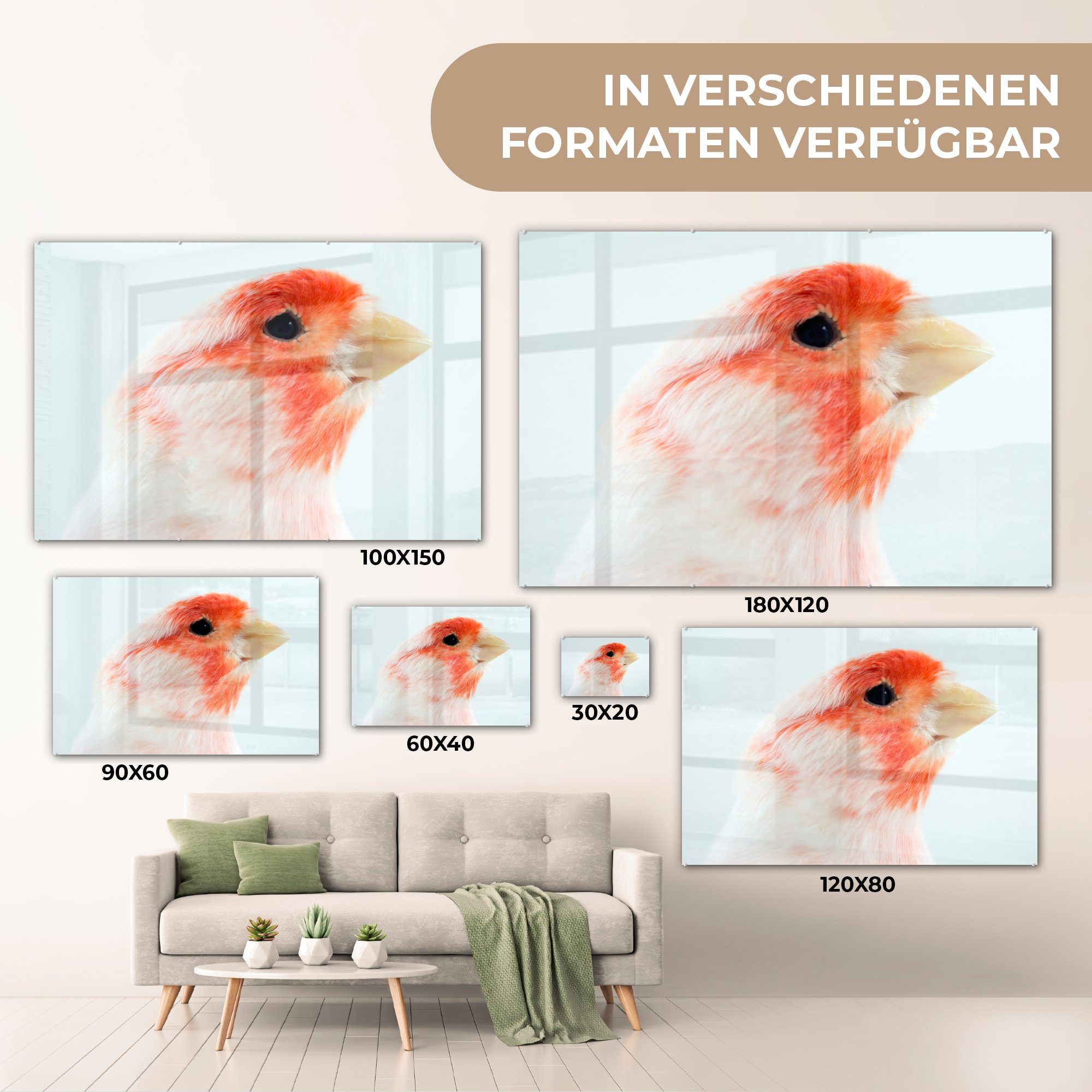 MuchoWow Acrylglasbild (1 & Kanarienvogel, weißer Schlafzimmer Wohnzimmer St), Roter Acrylglasbilder und