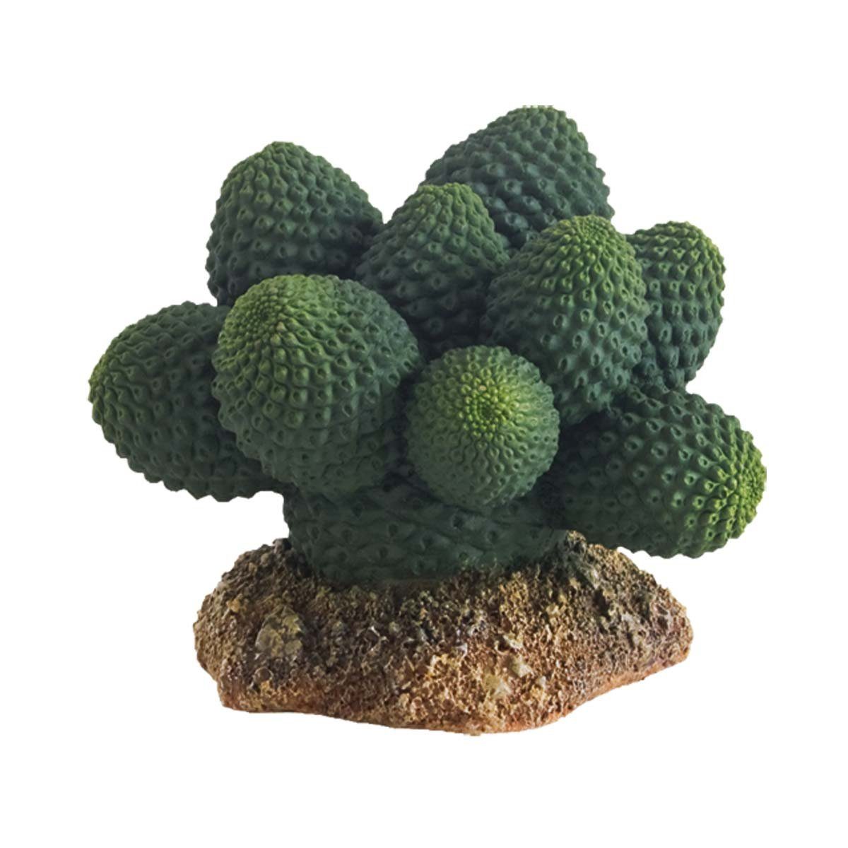 HOBBY Terrariendeko Kaktus Atacama, Höhe 7 cm