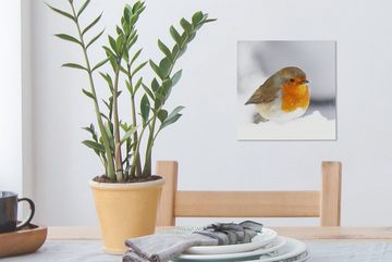 OneMillionCanvasses® Leinwandbild Rotkehlchen - Schnee - Vogel, (1 St), Leinwand Bilder für Wohnzimmer Schlafzimmer