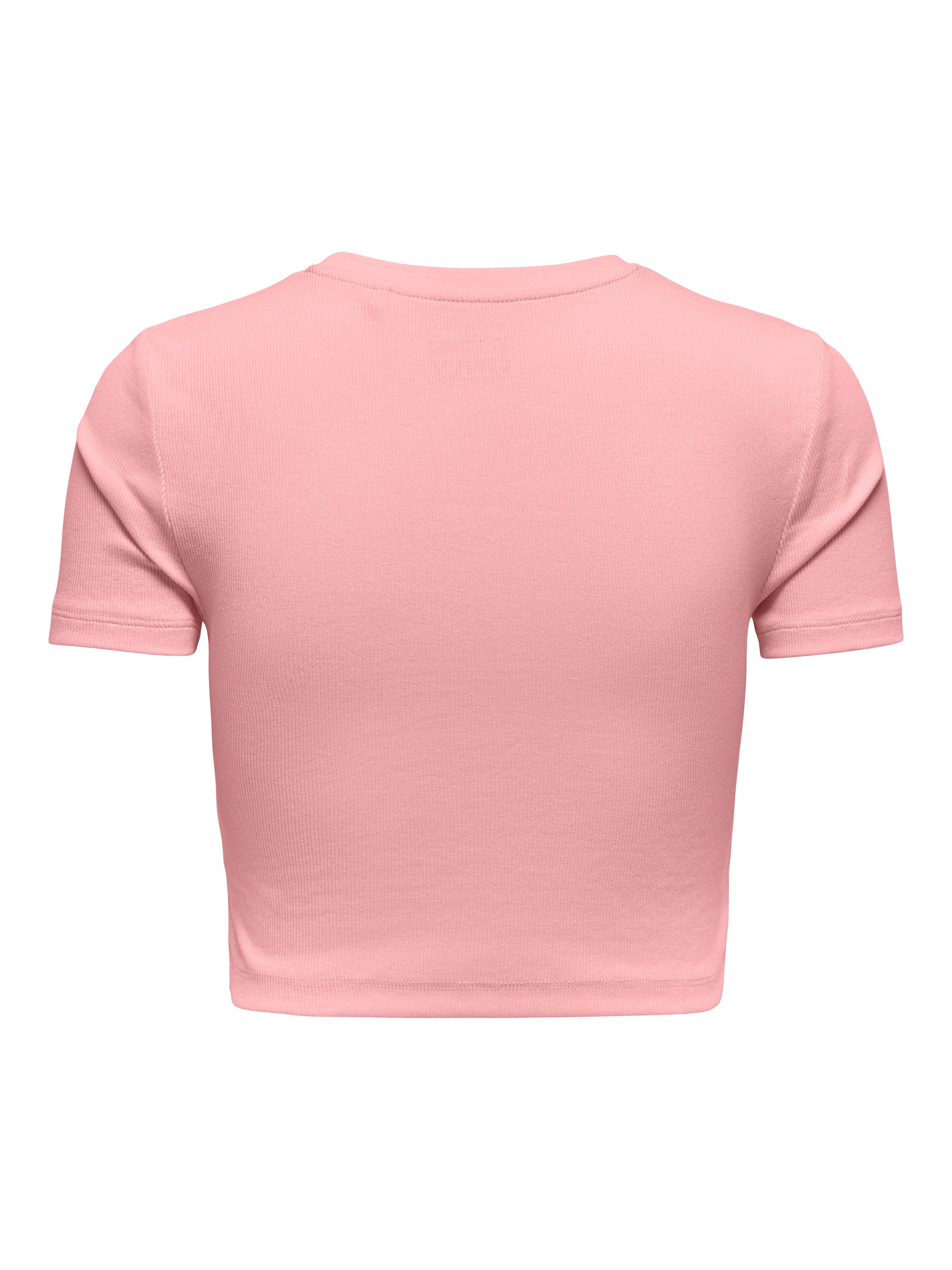 ONLY Kurzarmshirt ONLBETTY S/S O-NECK SHORT TOP CC JRS softe Jerseyqualität
