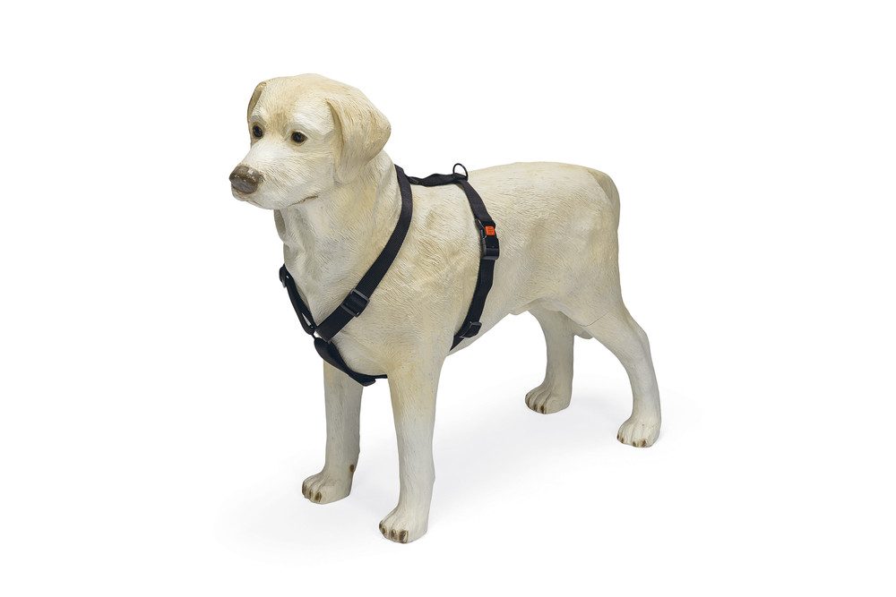 Karlie Hunde-Geschirr Karlie ASP Geschirr - Schwarz Breite/Brustumfang: 10 mm, 25-40 cm