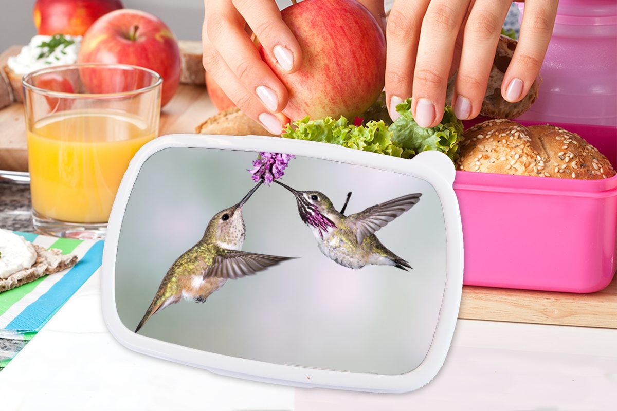 - Kolibri für Kunststoff Pflanze, Brotbox Vögel (2-tlg), Brotdose rosa Erwachsene, - MuchoWow Kunststoff, Mädchen, Kinder, Snackbox, Lunchbox