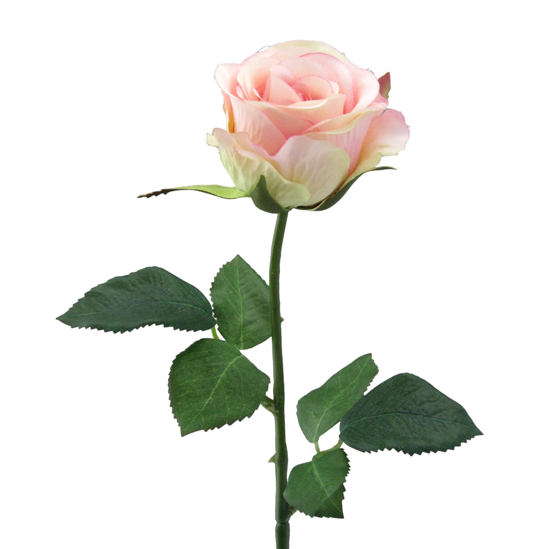 Kunstblume Künstliche Rose Wasserstiel, ca 47cm. Kunstblume Dekoblume, Gasper, Höhe 47.00 cm