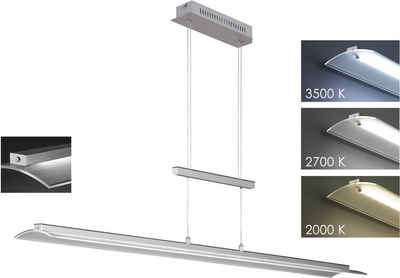 FISCHER & HONSEL LED Pendelleuchte Roof, Dimmfunktion, LED fest integriert, Neutralweiß, Warmweiß