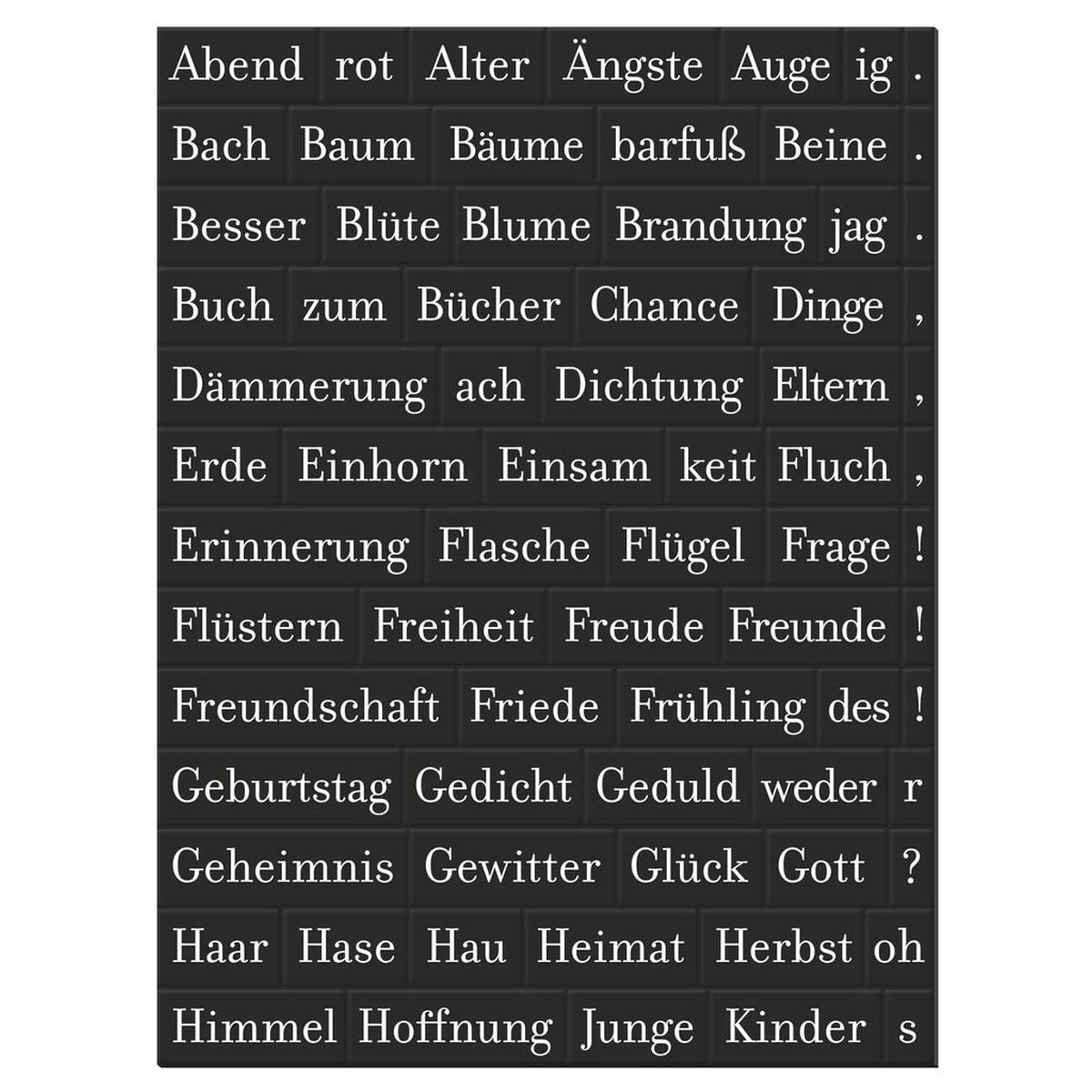 Moses. Verlag Spiel Magnetische Poesie Geschenkbox, 500 Magnete, Wortspiel