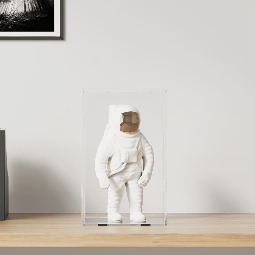 vidaXL Vitrine Displaybox Transparent 22x18x35 cm Acryl