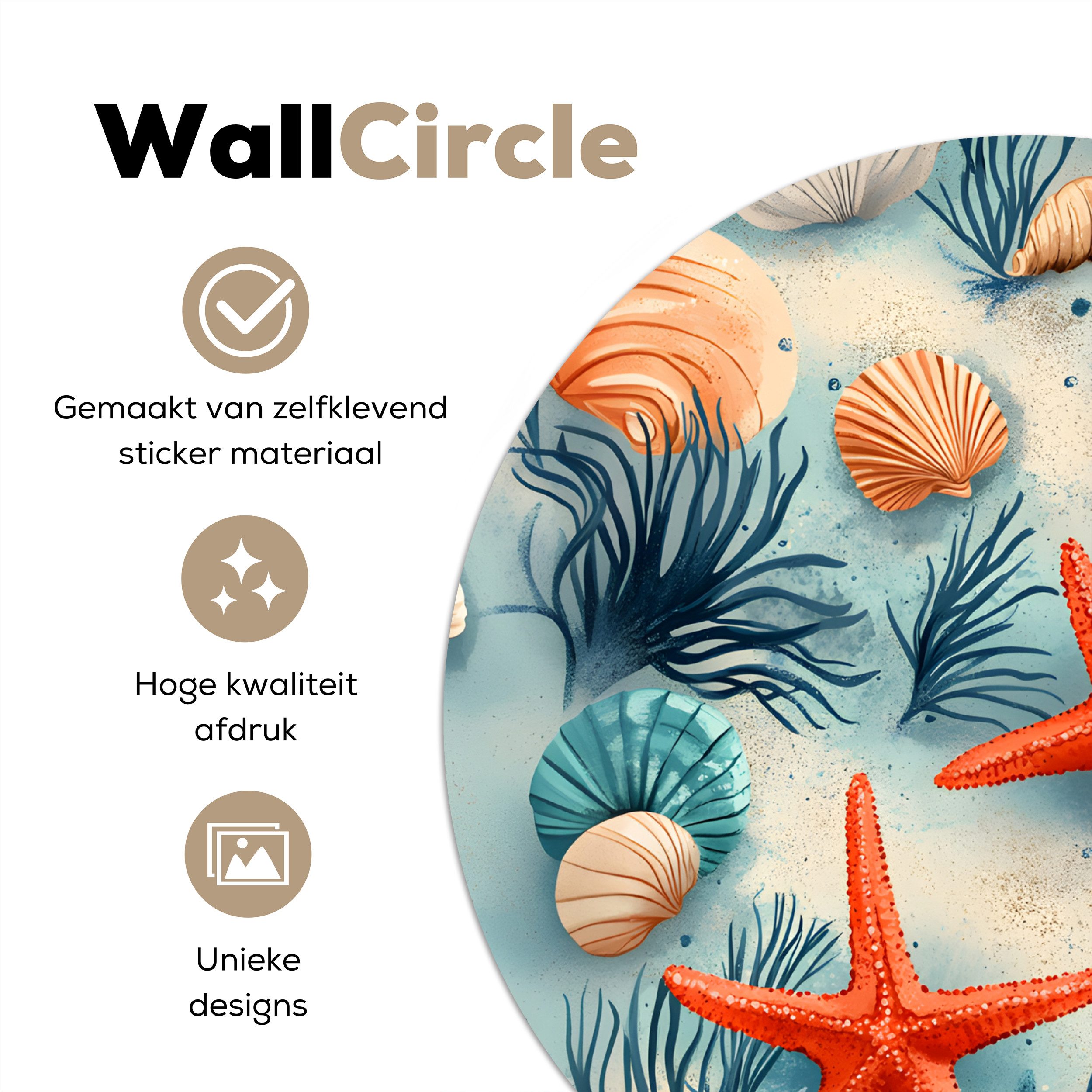 MuchoWow Wandsticker Seesterne - Muscheln - günstig online kaufen