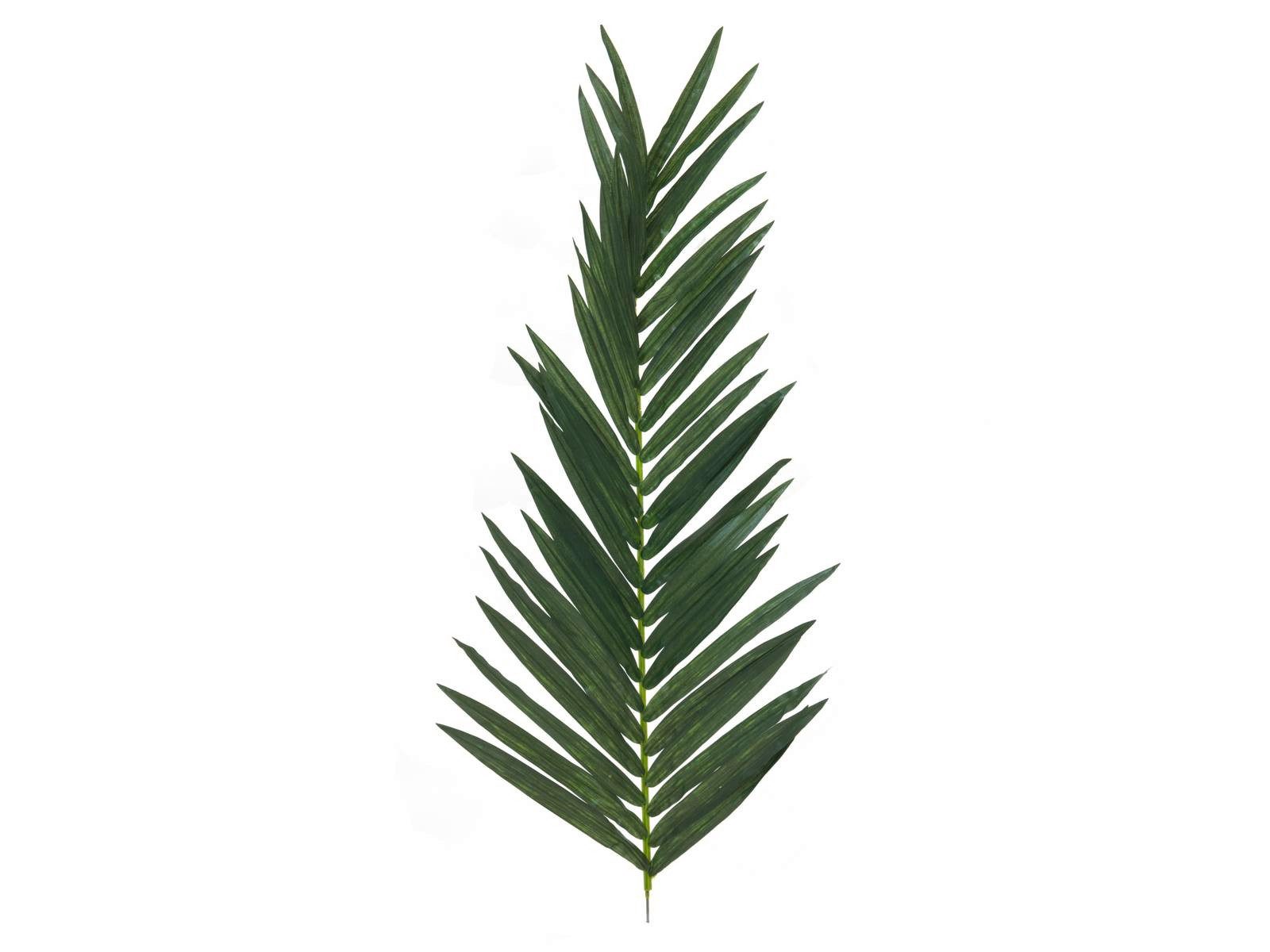 Kunstpflanze Kokosnusspalme Palmwedel Kunststoff GLORINA, 150cm Kokospalme, artplants, Höhe 150.0 cm