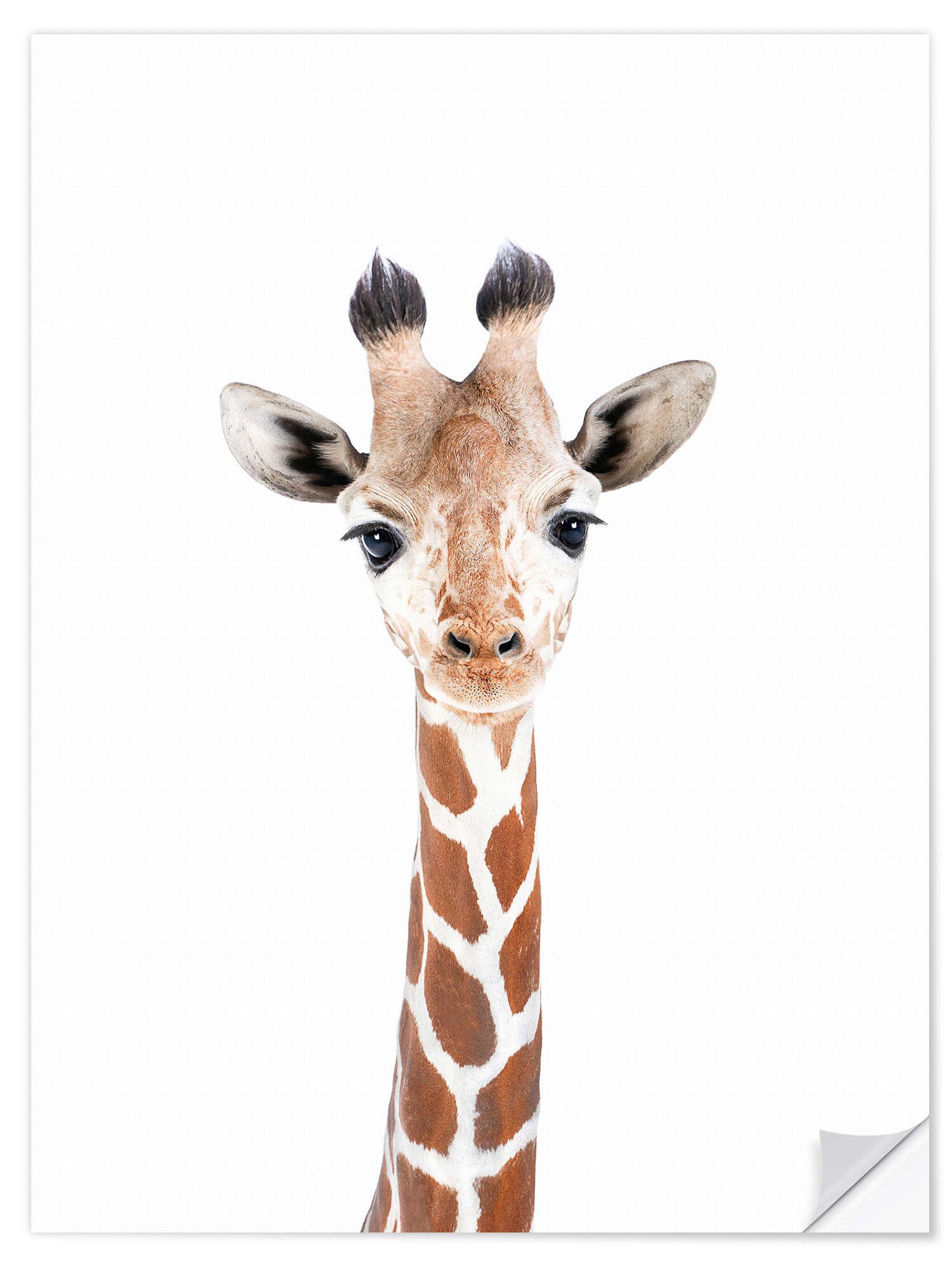 Posterlounge Wandfolie Sisi And Seb, Babygiraffe, Babyzimmer Kindermotive