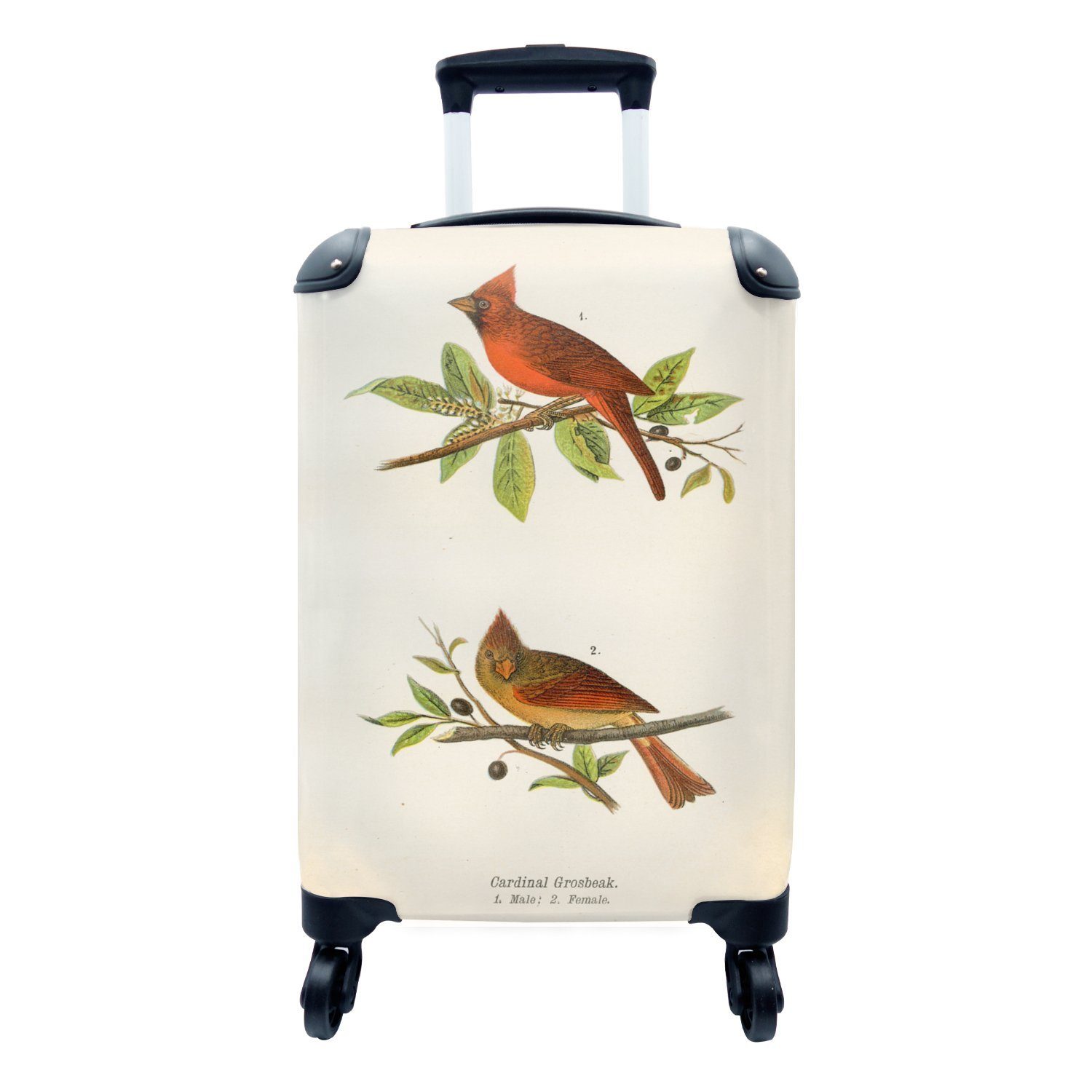 Reisekoffer Rollen, Handgepäck Vogeldruck Reisetasche 4 MuchoWow Antiker für Vögel, Ferien, Handgepäckkoffer Trolley, mit rollen,