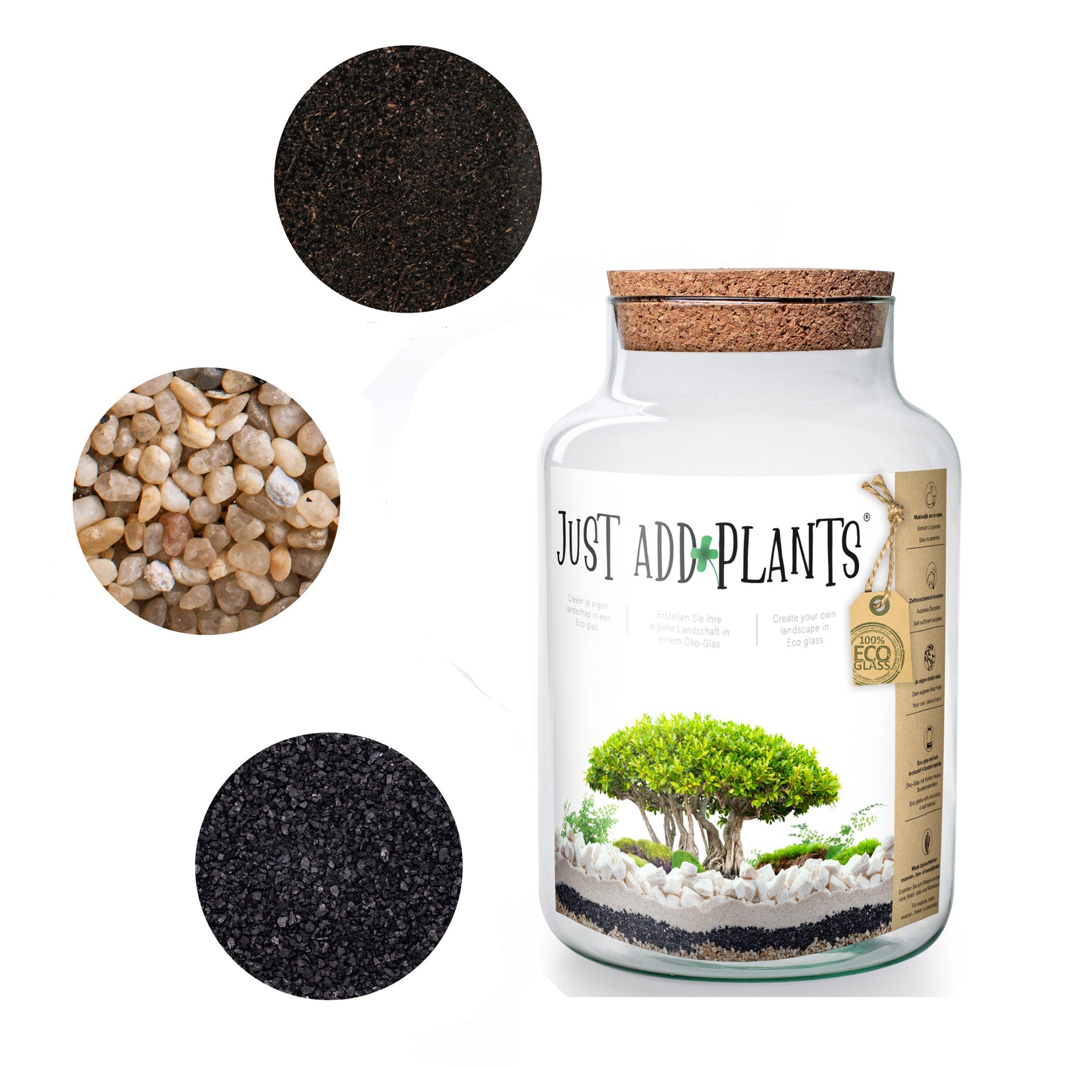 Annastore Tischvase XXL Pflanzenterrarium - Terrarium günstig online kaufen