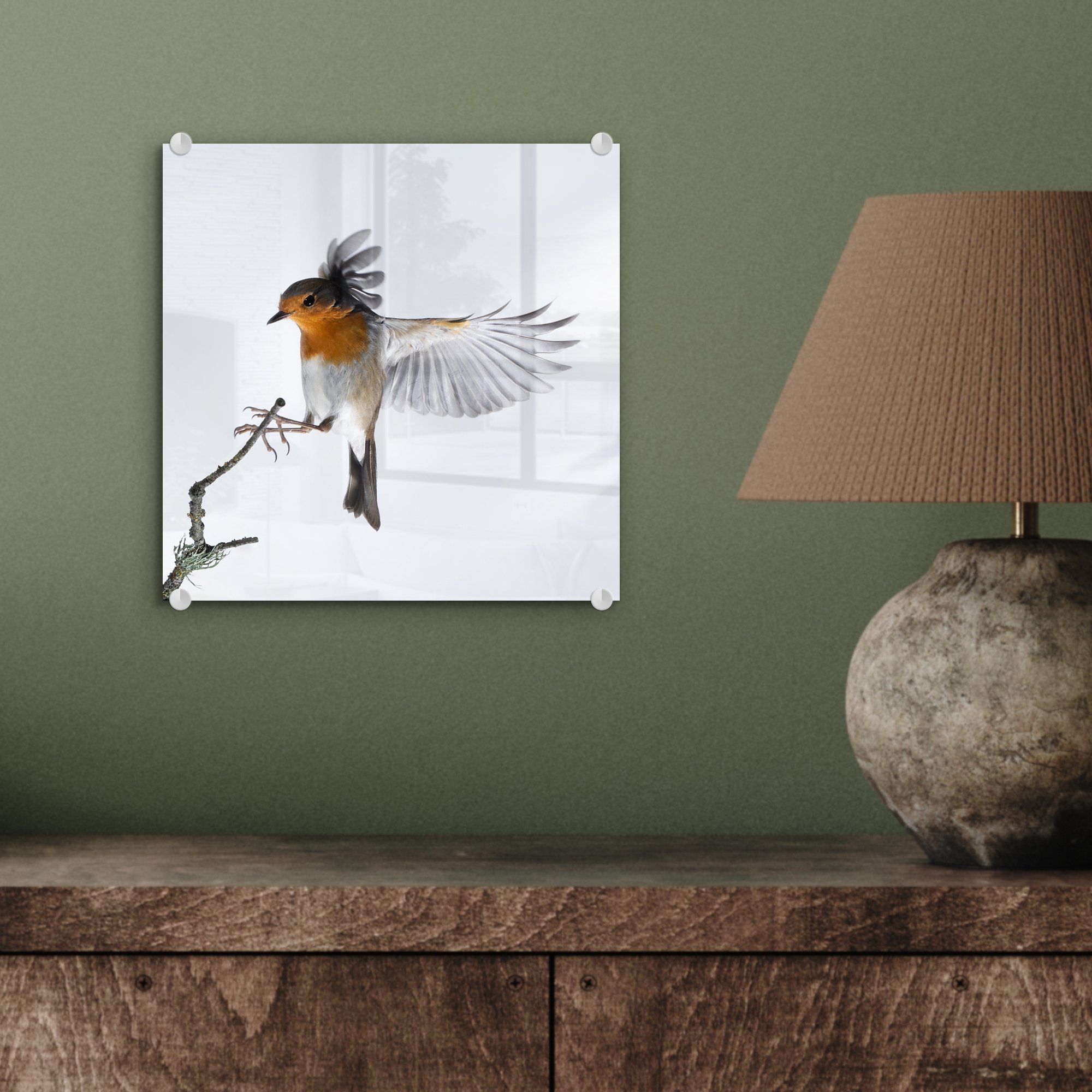 MuchoWow Acrylglasbild Nahaufnahme - Wandbild (1 Glasbilder Wanddekoration auf Glas St), Foto Vogel, - Glas Bilder - auf