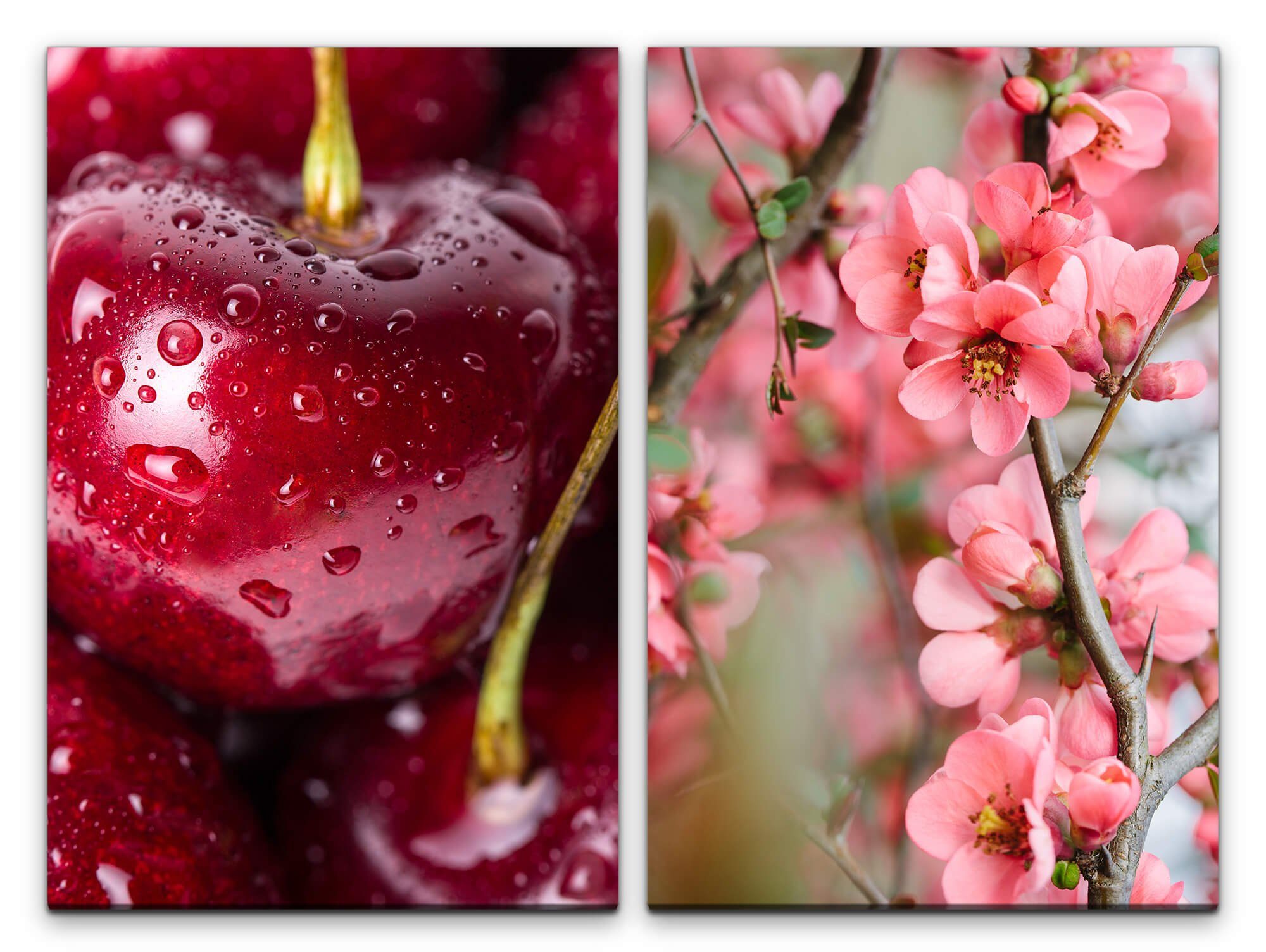 Sinus Art Leinwandbild 2 Bilder je 60x90cm Kirschen Früchte Rot Kirschblüten Kirschzweig Frühling Natur