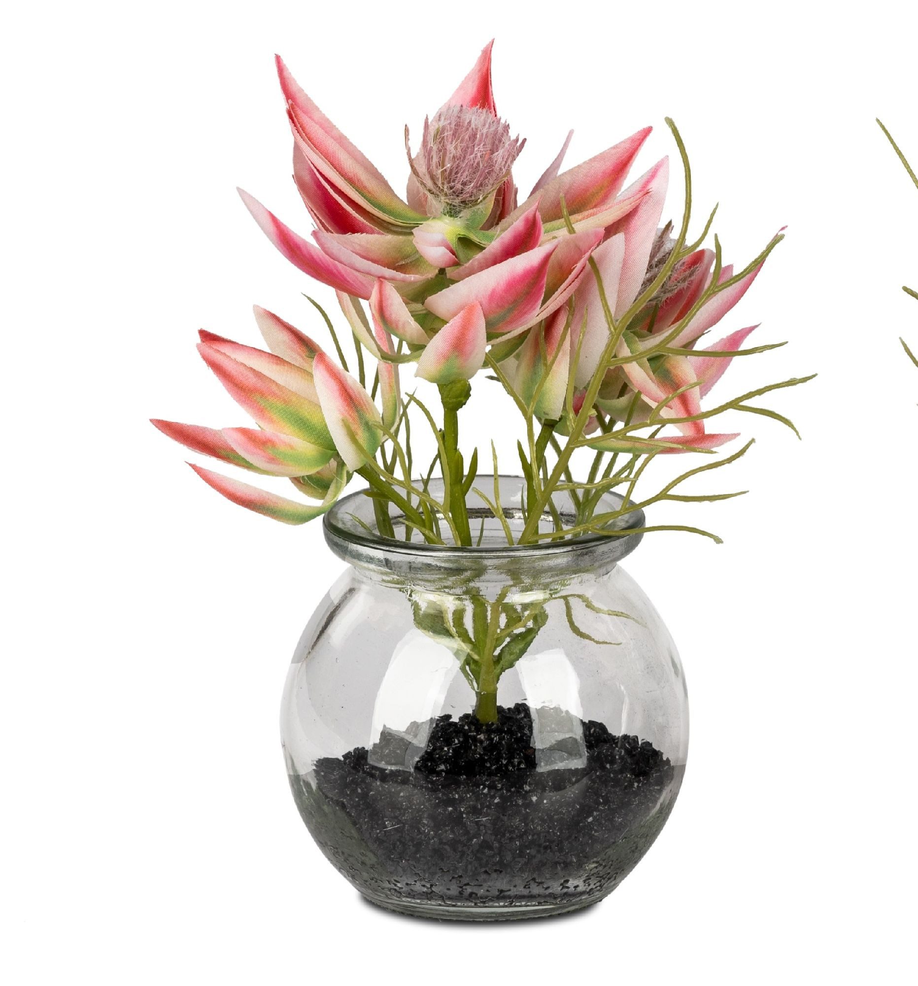 formano Dekovase Frühlingszeit, Farbe: Rosa, Motiv: Distel günstig online kaufen