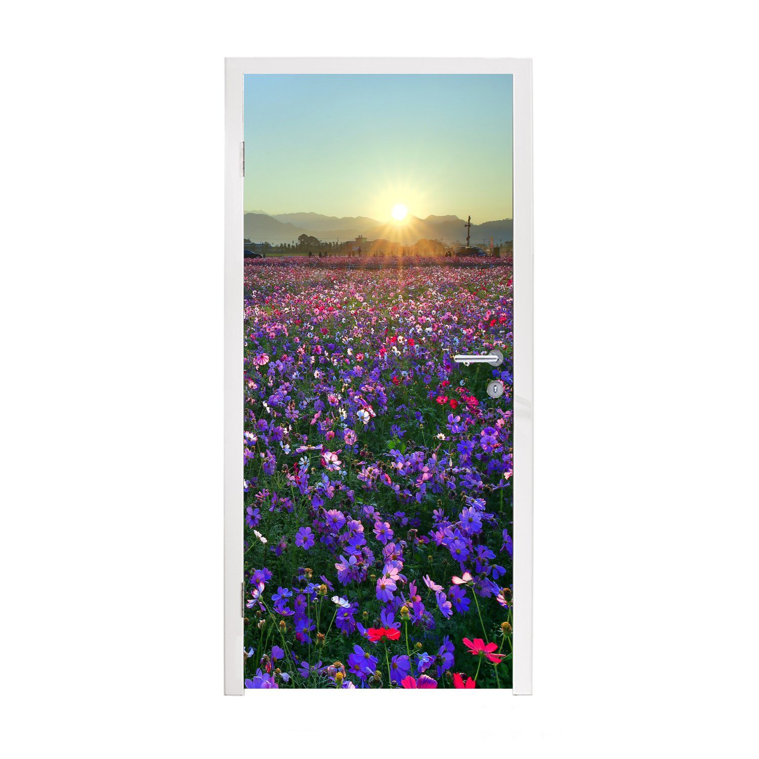 MuchoWow Türtapete Blumen - Lila - Sonnenuntergang, Matt, bedruckt, (1 St), Fototapete für Tür, Türaufkleber, 75x205 cm