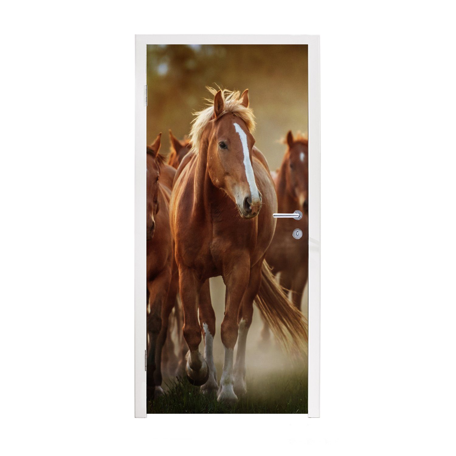 MuchoWow Türtapete Pferde - Licht - Natur, Matt, bedruckt, (1 St), Fototapete für Tür, Türaufkleber, 75x205 cm