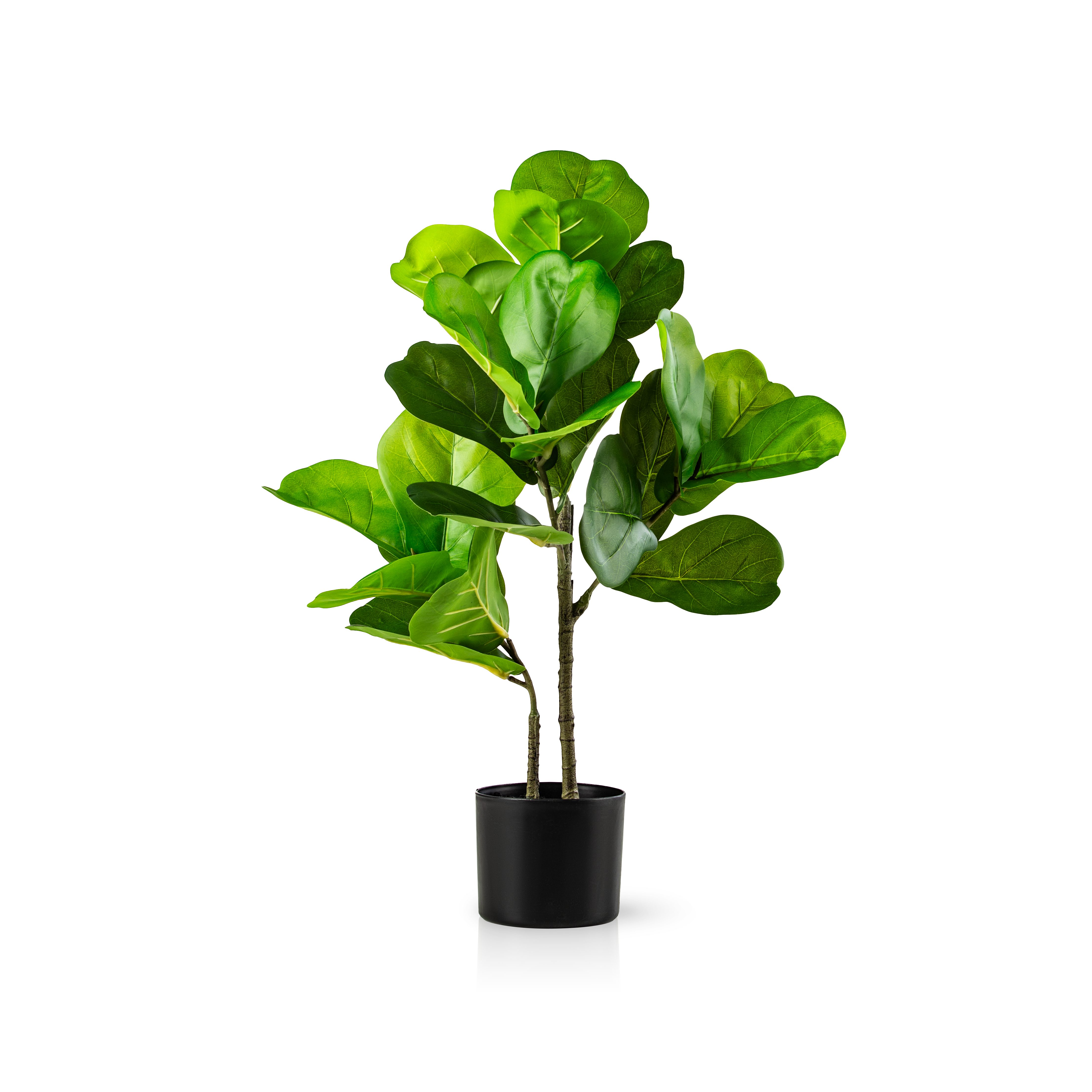Kunstpflanze Künstliche Pflanzen, Große Kunstpflanzen im Topf Olive, Monstera, Yucca, Agave, Palmfarn, Geigenfeige, PASCH, wie echt
