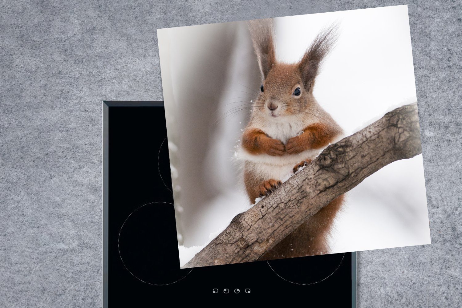 MuchoWow Herdblende-/Abdeckplatte Eichhörnchen - Baum cm, für küche Winter, (1 Schneeflocke - tlg), Vinyl, Ceranfeldabdeckung, Arbeitsplatte 78x78 