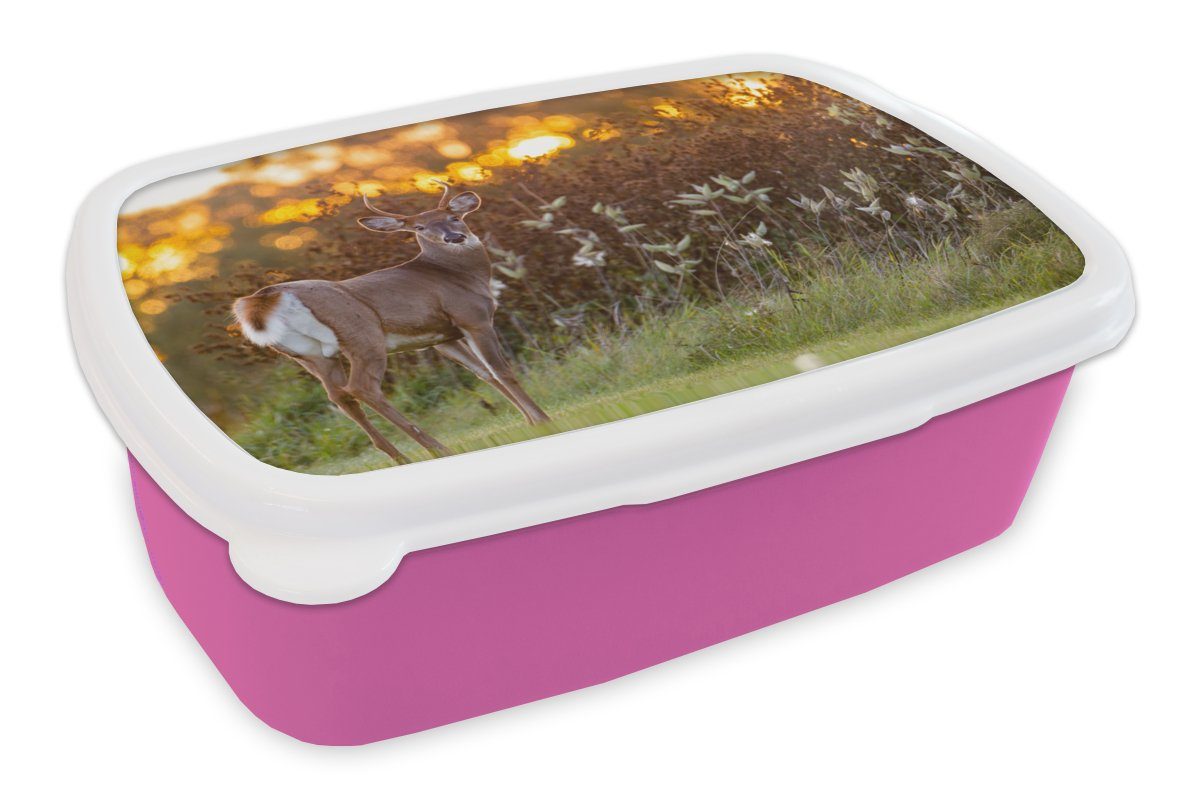 MuchoWow Lunchbox Hirsche - Pflanzen - Sonnenuntergang - Wildtiere - Natur, Kunststoff, (2-tlg), Brotbox für Erwachsene, Brotdose Kinder, Snackbox, Mädchen, Kunststoff rosa