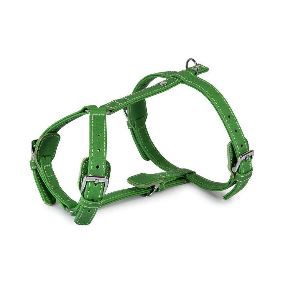 Das Lederband Hunde-Geschirr Geschirr Barcelona Summer-Green