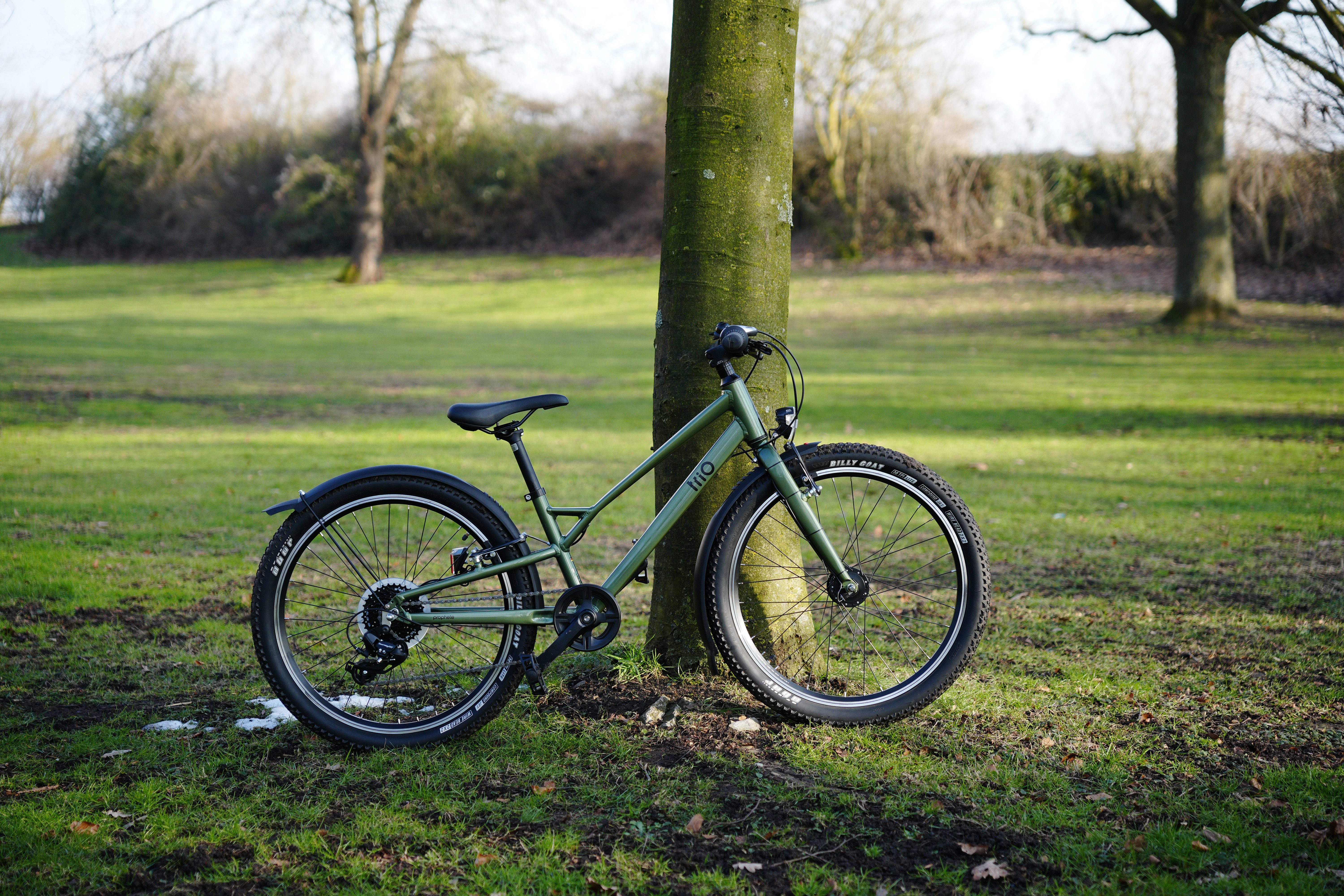 Prophete Kinderfahrrad Prophete Trio 500, 8 Gang Shimano Tourney Schaltwerk, Kettenschaltung