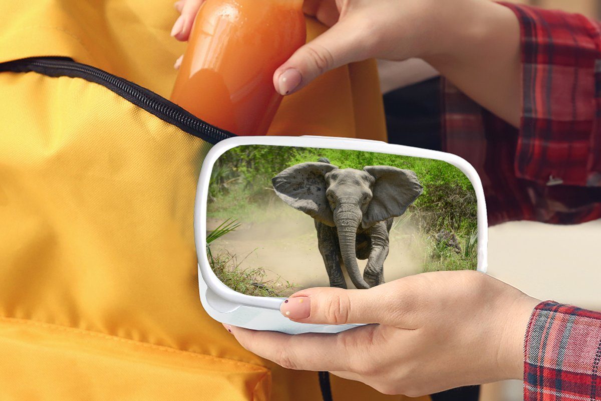 Kinder Elefant, Brotbox (2-tlg), weiß Jungs MuchoWow Erwachsene, und Mädchen für Laufender Lunchbox für Kunststoff, und Brotdose,