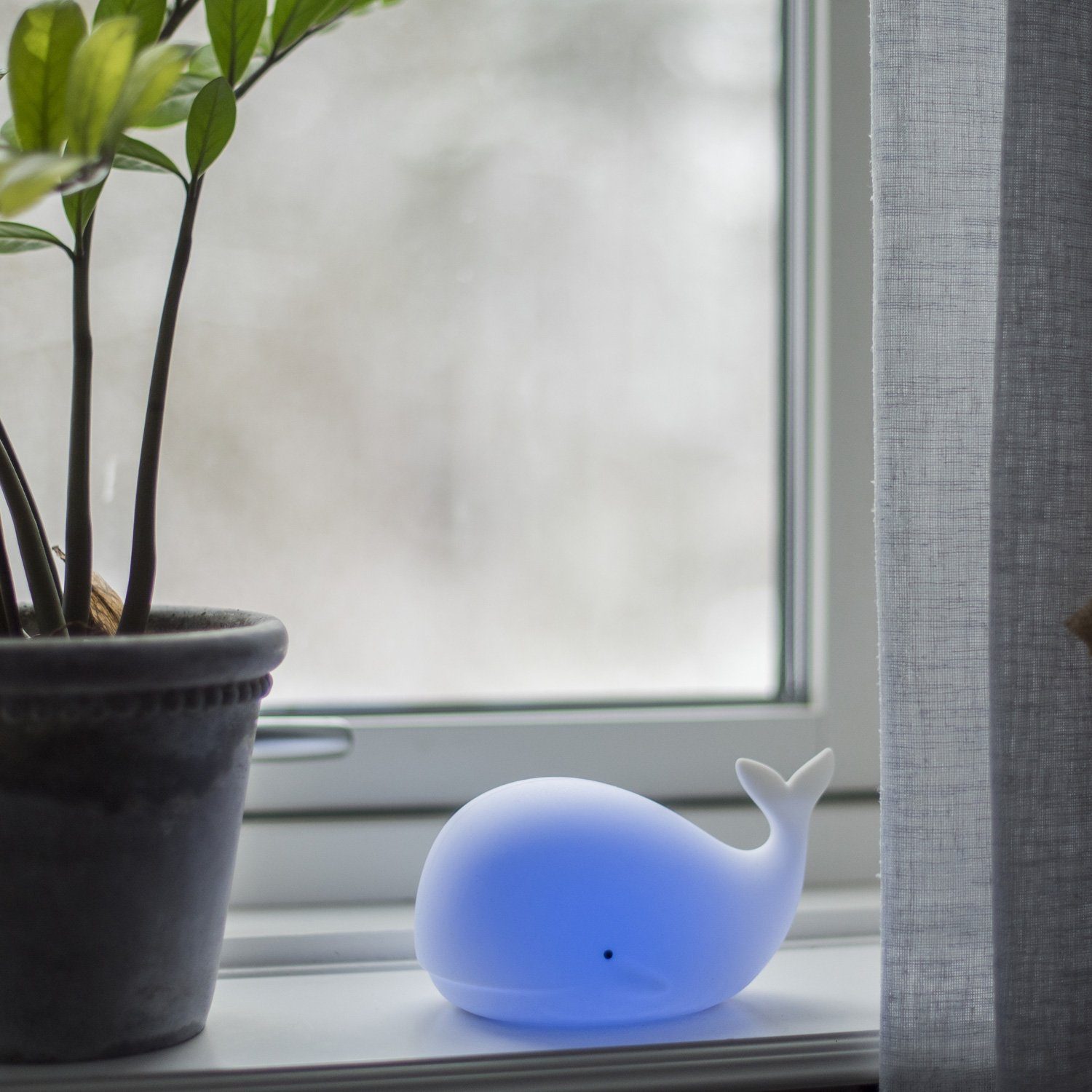 HOLLYHOPPER LED Nachtlicht LED Nachtlicht Wal NOAH Einschlaflicht leuchtender Wall Farbwechsel, LED Classic, mehrfarbig / bunt