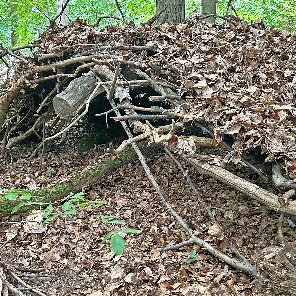 Jochen Schweizer Erlebnisgutschein Survivaltraining für Paare Winden (1 Nacht), Jetzt erleben!