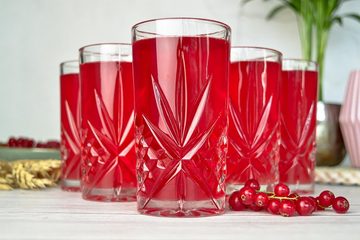 Sendez Gläser-Set 6 Longdrinkgläser 300ml mit Relief Trinkgläser Cocktailgläser, Glas