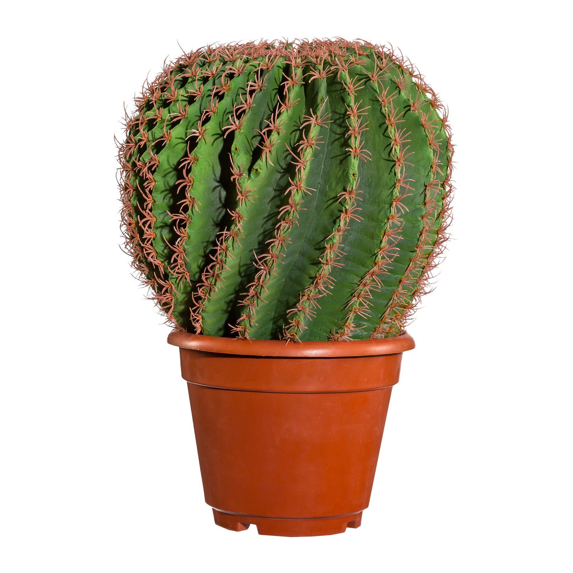 Kunstpflanze Kaktus Echino im Kunststofftopf 33 cm, Gasper, Höhe 33.000 cm