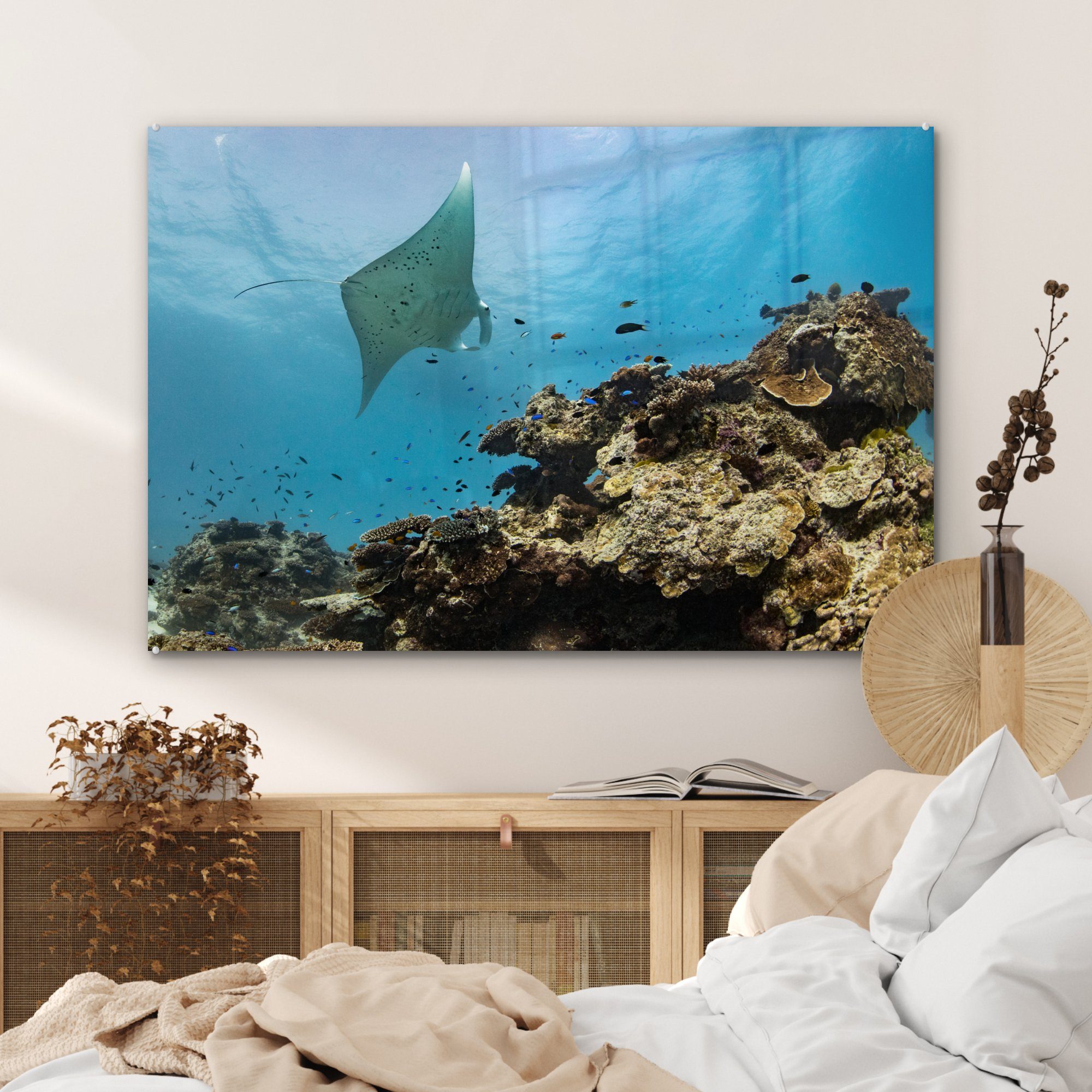 Barrier (1 & Great Schlafzimmer St), des Korallen Wohnzimmer Die Acrylglasbild MuchoWow Reefs, Acrylglasbilder