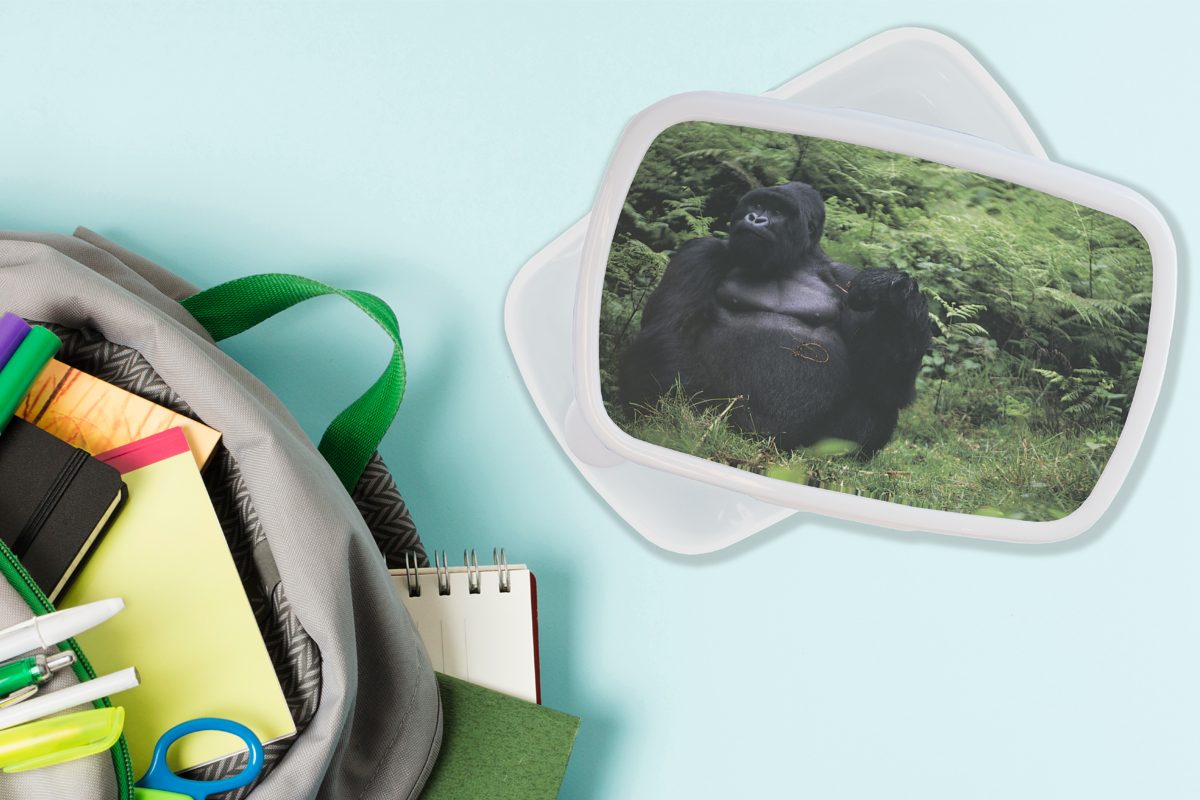 Mädchen Erwachsene, Brotdose, MuchoWow für Kinder Kunststoff, Jungs und Brotbox und in einem für riesiger Ein weiß Gorilla (2-tlg), grünen Regenwald, Lunchbox