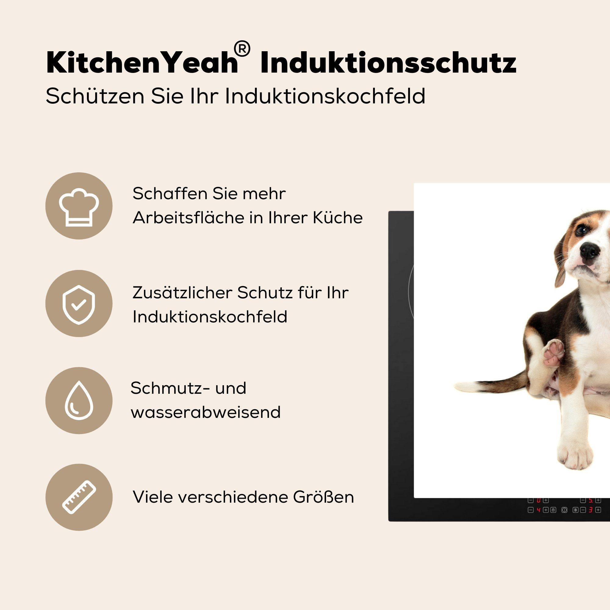 MuchoWow Herdblende-/Abdeckplatte Welpe - Beagle tlg), küche für Arbeitsplatte (1 - Ceranfeldabdeckung, 78x78 cm, Vinyl, Weiß