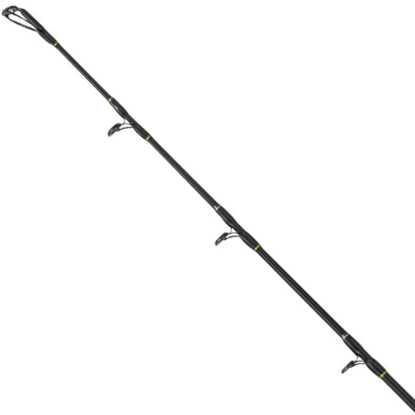 Black Cat Spinnrute 3,20m Perfect Passion XH-S Rute 350g - Wallerrute