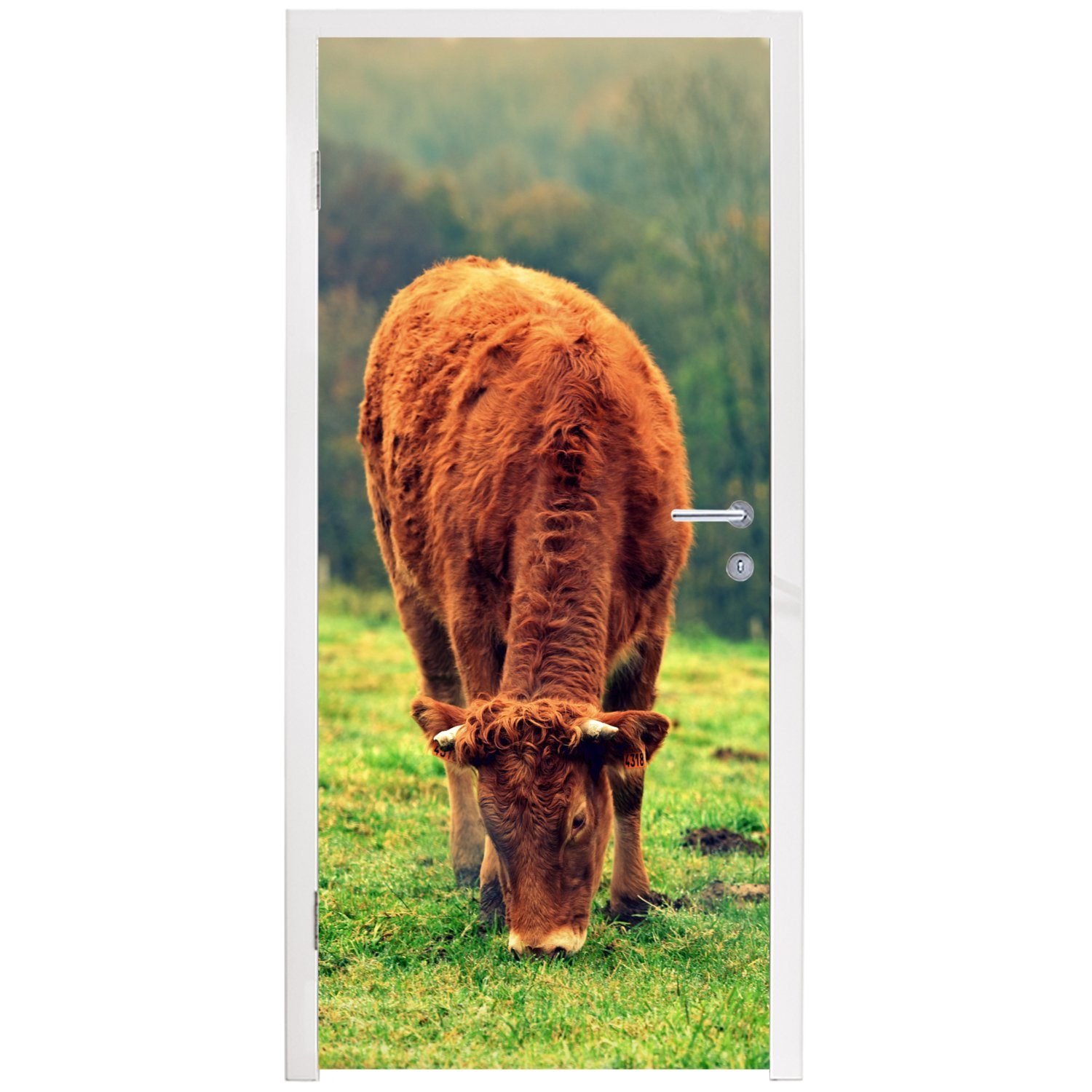 Fototapete - (1 - bedruckt, 75x205 St), für Kuh Baum Türtapete Tür, MuchoWow Matt, Türaufkleber, Braun Natur, - cm