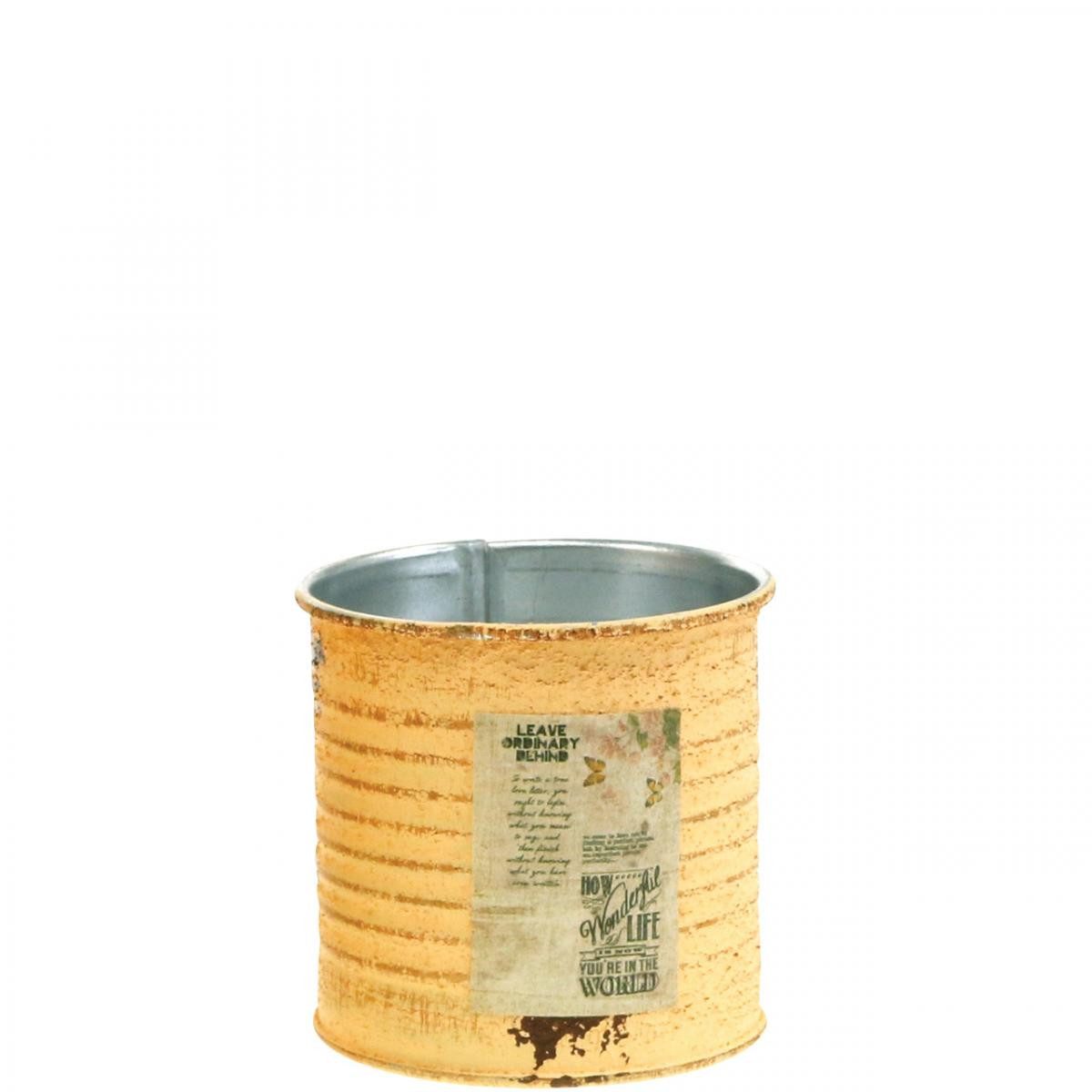 Viana Übertopf Deko-Dose aus Metall im Vintage-Look für DIY und Kräuter