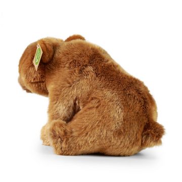 Teddys Rothenburg Kuscheltier Kuscheltier Braunbär Grizzly sitzend braun 30 cm Plüschgrizzlybär