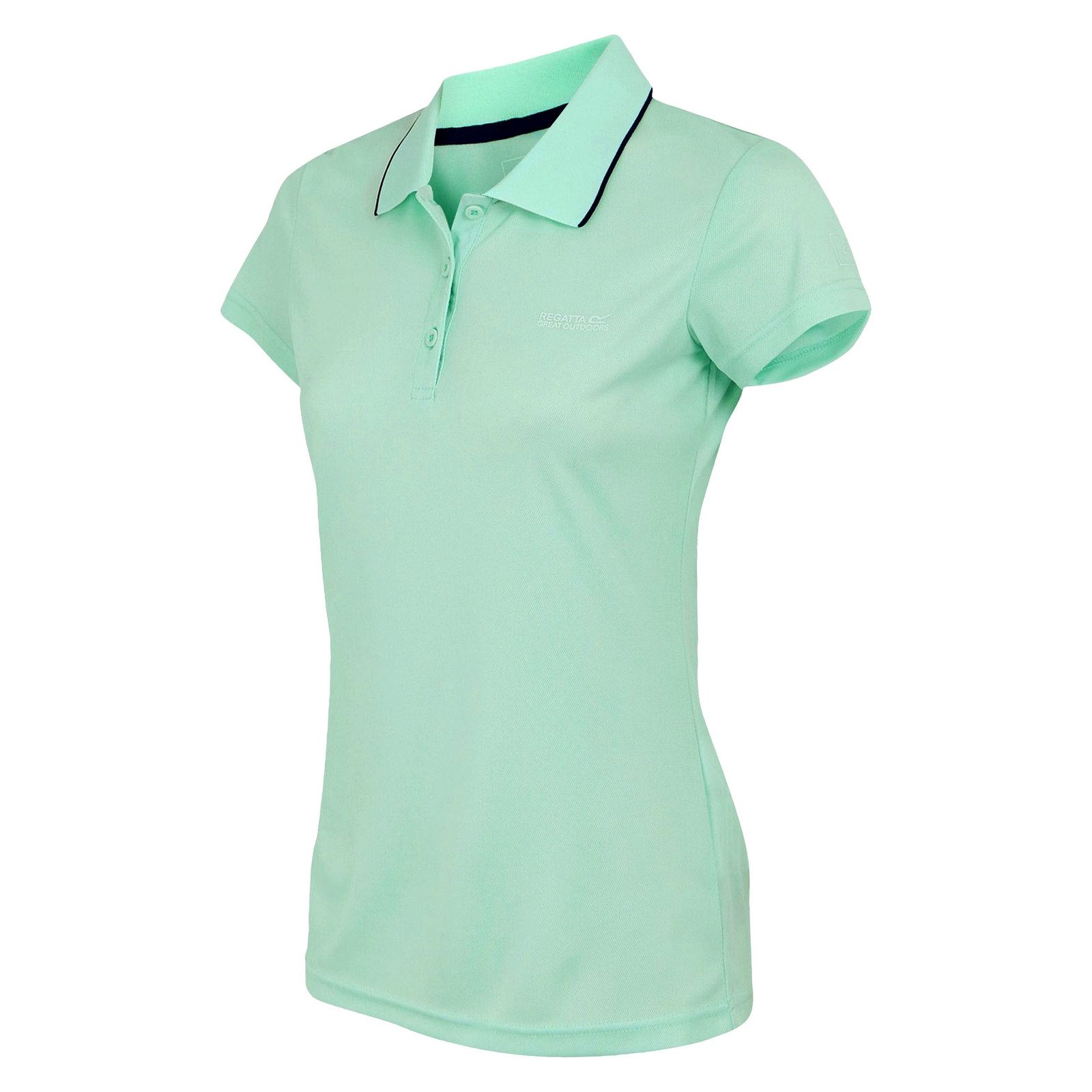 Regatta Poloshirt Poloshirt mit Marken-Logo und -schriftzug auf der Vorders günstig online kaufen