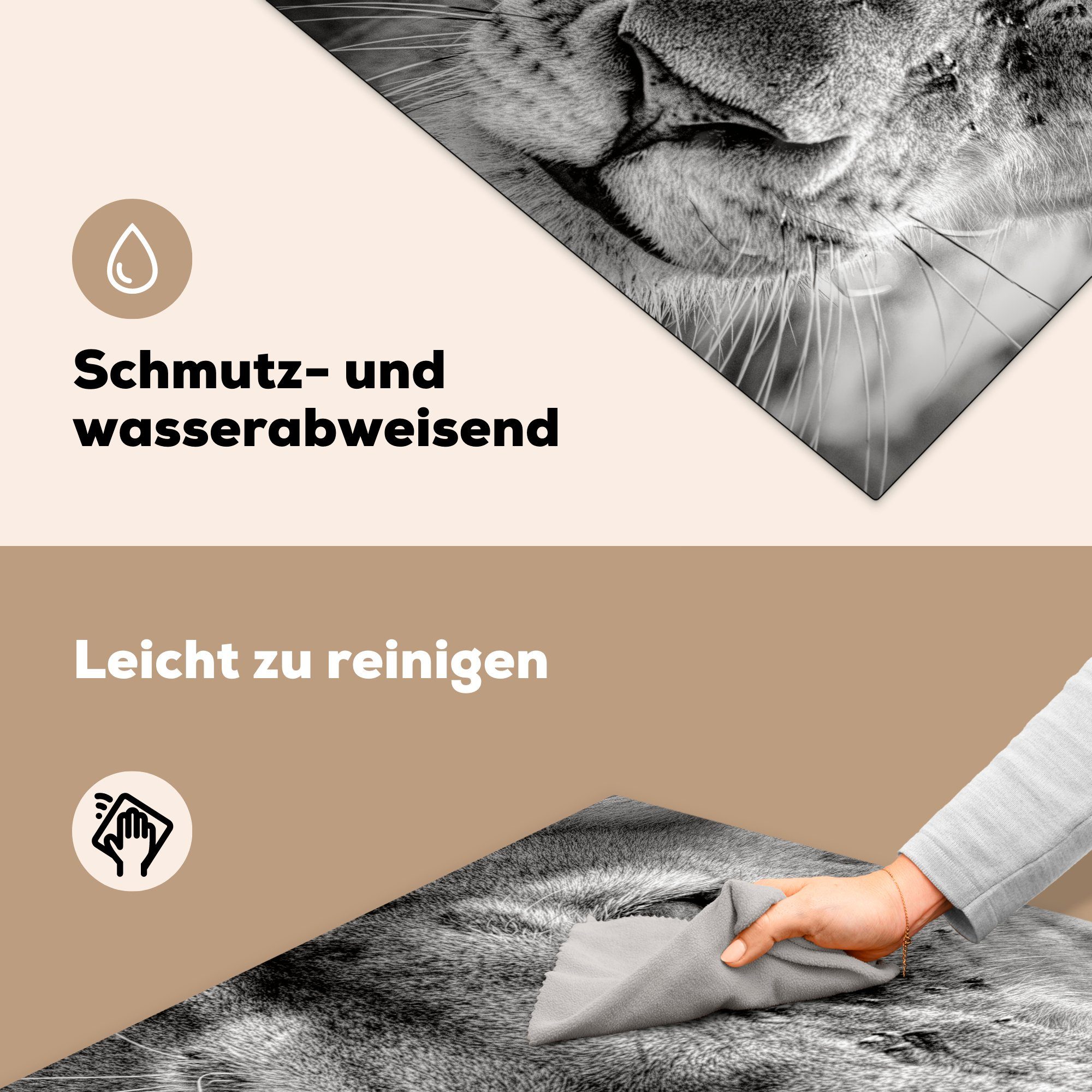 in Löwin für schwarz küche und 78x78 Vinyl, MuchoWow Ceranfeldabdeckung, Arbeitsplatte (1 weiß, Herdblende-/Abdeckplatte Tierprofil cm, tlg),